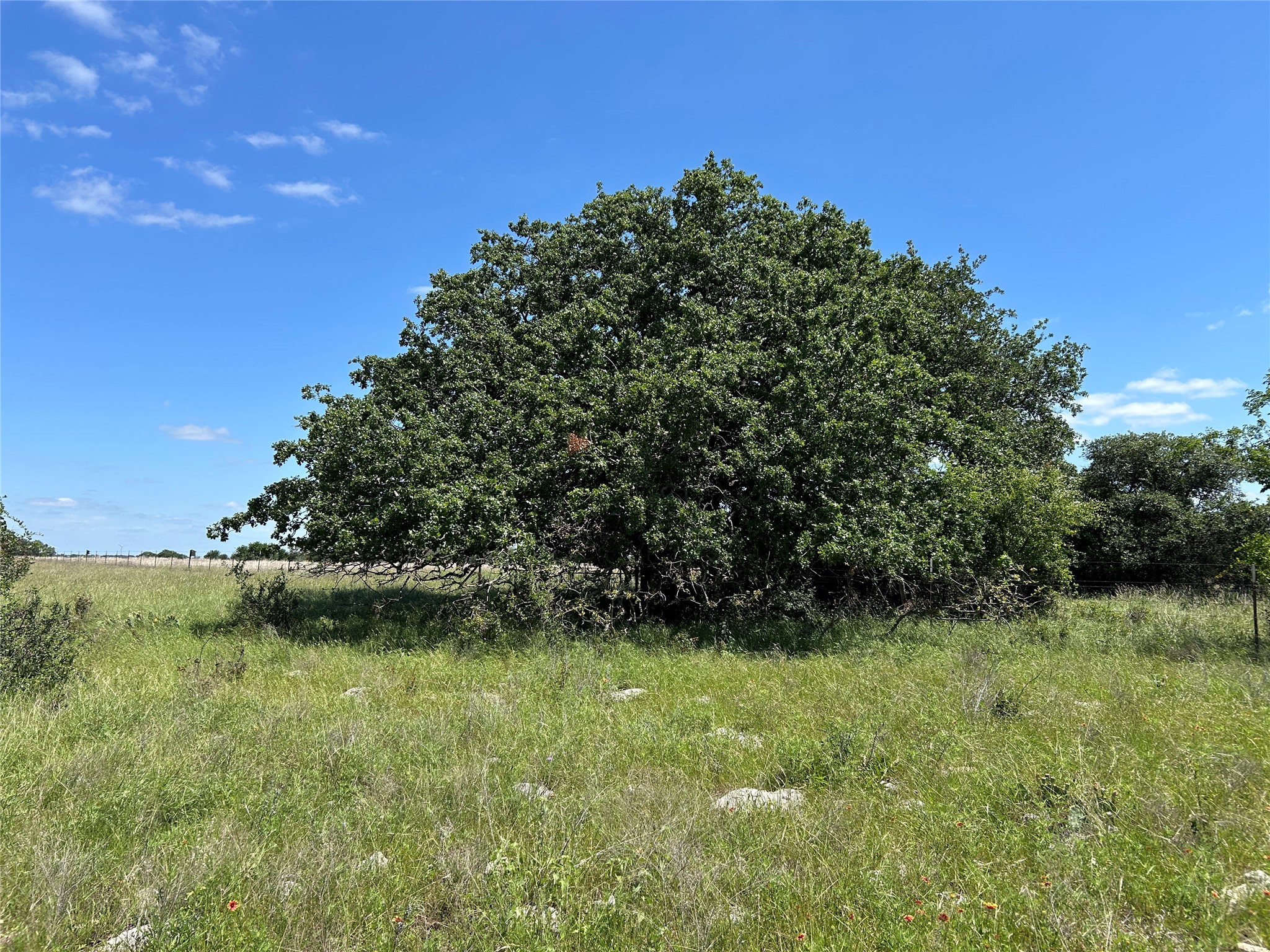 495 Fm 2005 Goldthwaite TX 76844