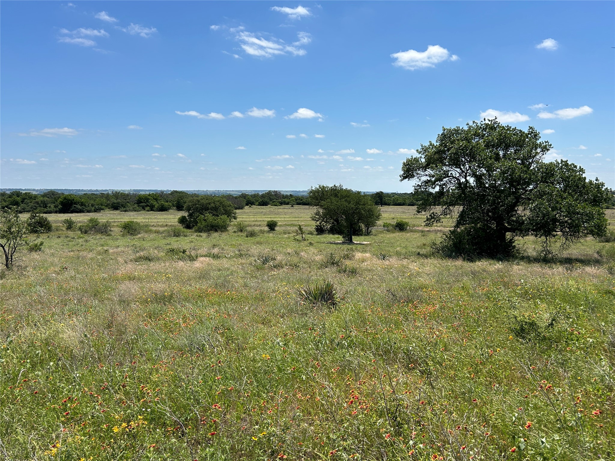 495 Fm 2005 Goldthwaite TX 76844