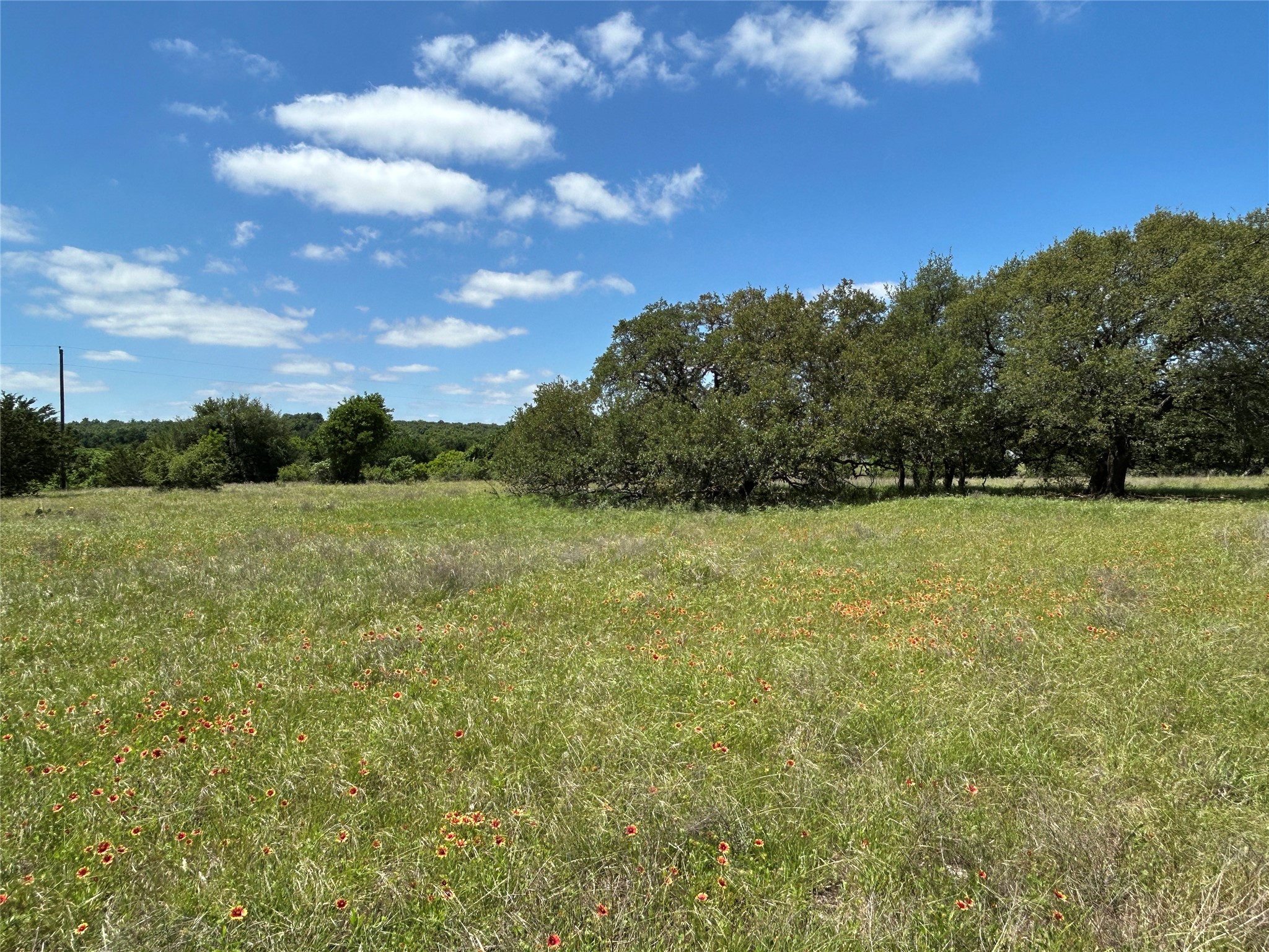 495 Fm 2005 Goldthwaite TX 76844