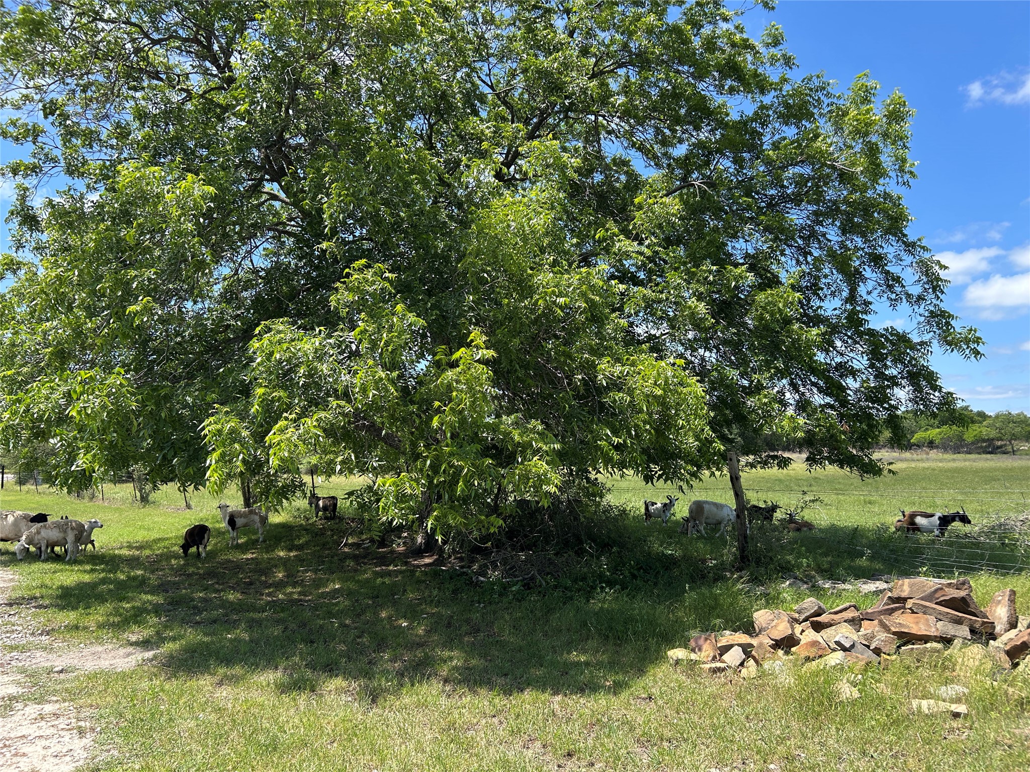 495 Fm 2005 Goldthwaite TX 76844