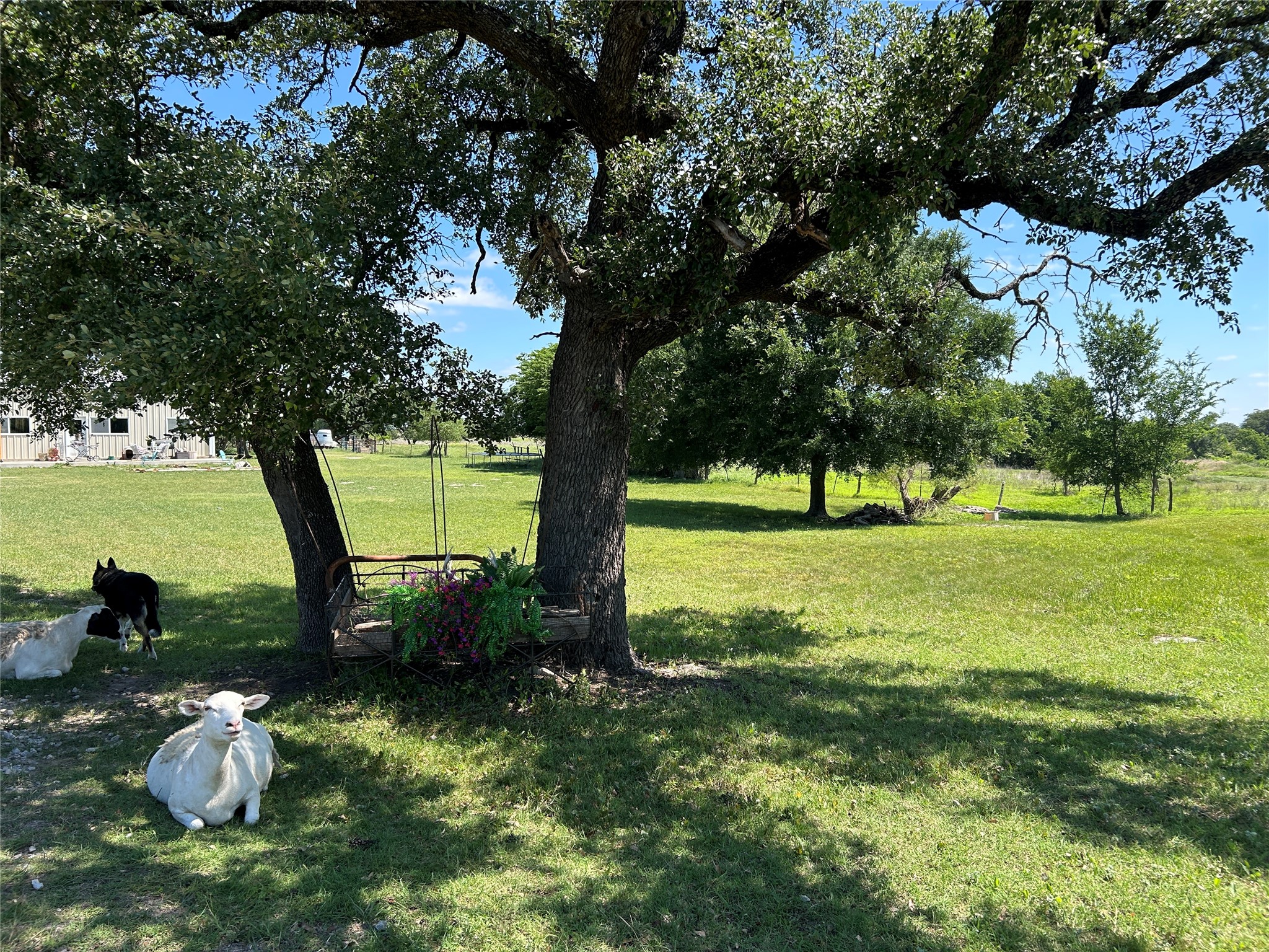 495 Fm 2005 Goldthwaite TX 76844