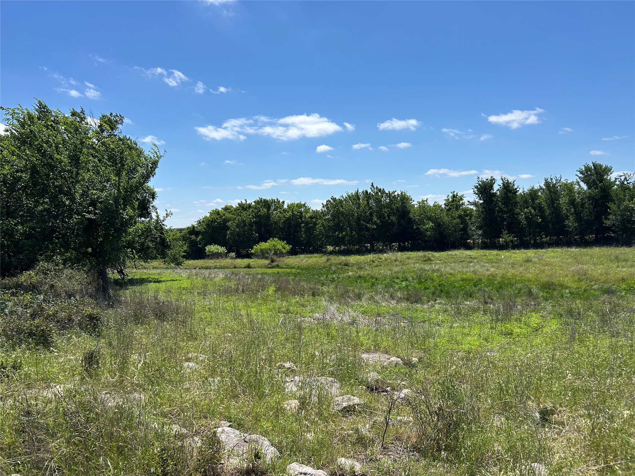 495 Fm 2005 Goldthwaite TX 76844