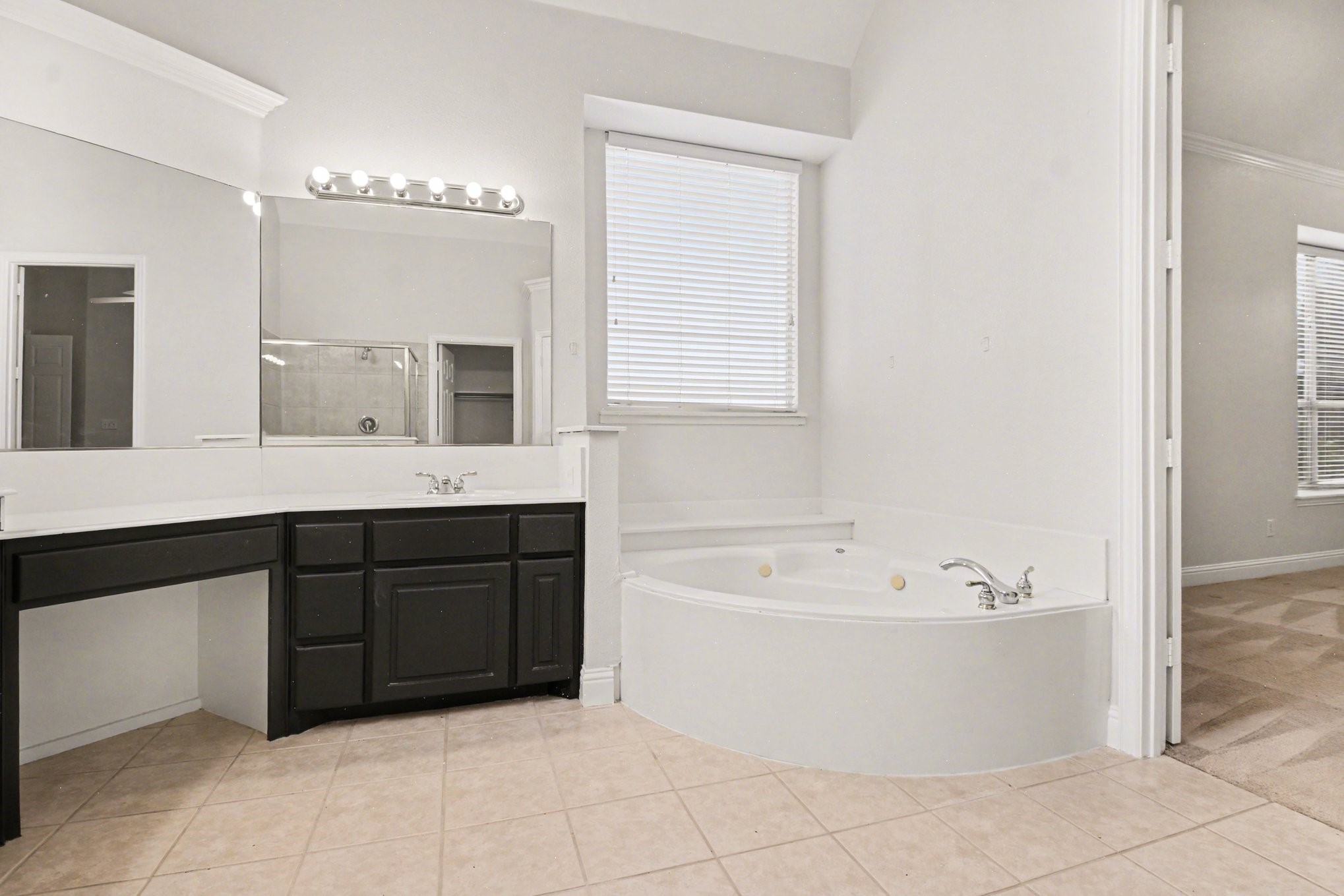 8709 Havant Lane Plano TX 75024