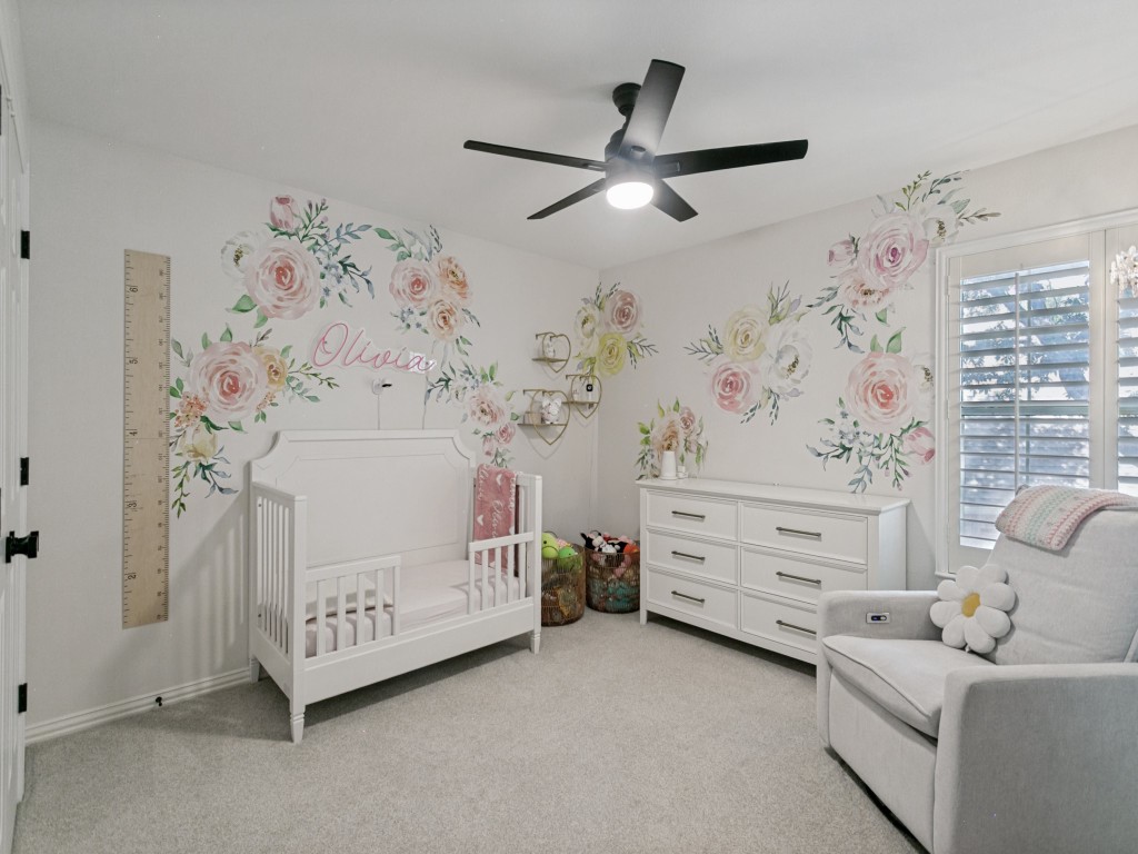 1305 Tree Farm Drive Plano TX 75093