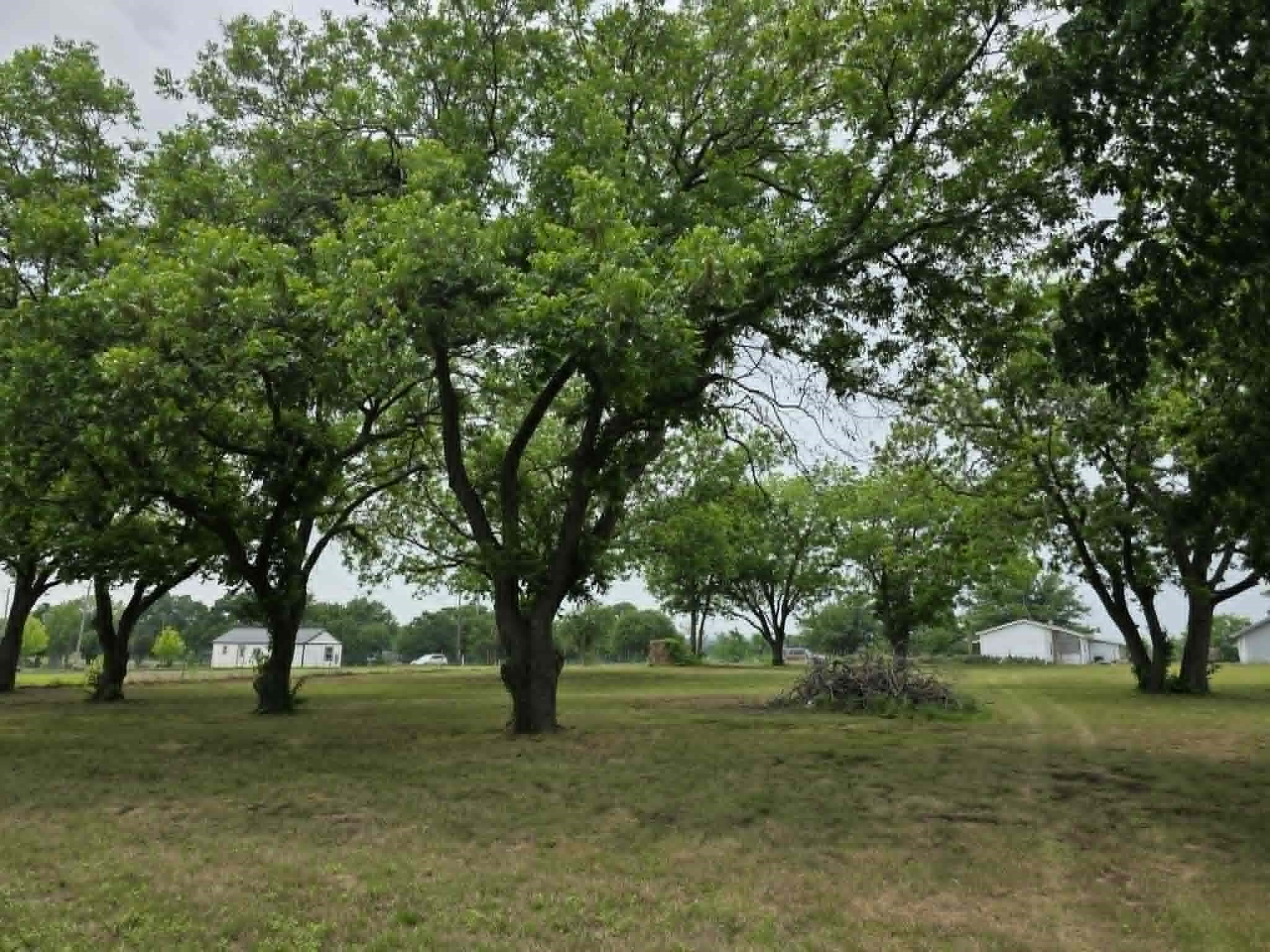 7498 State Highway 175 Montague TX 76251