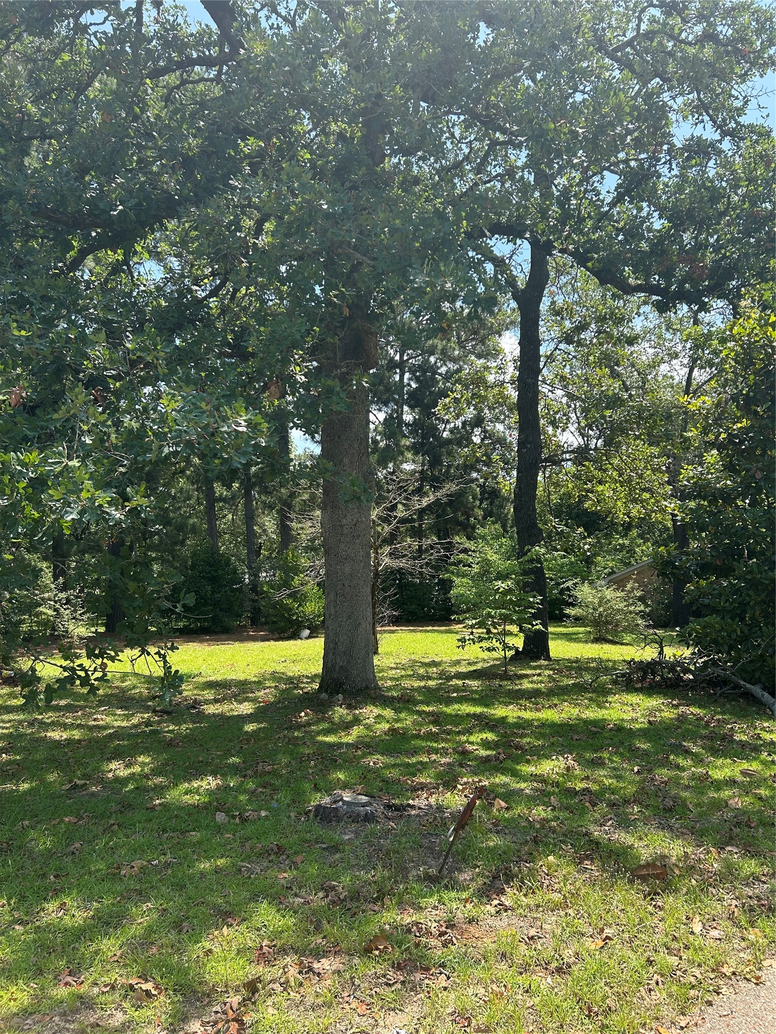 6797 Fm 2494 Athens TX 75751