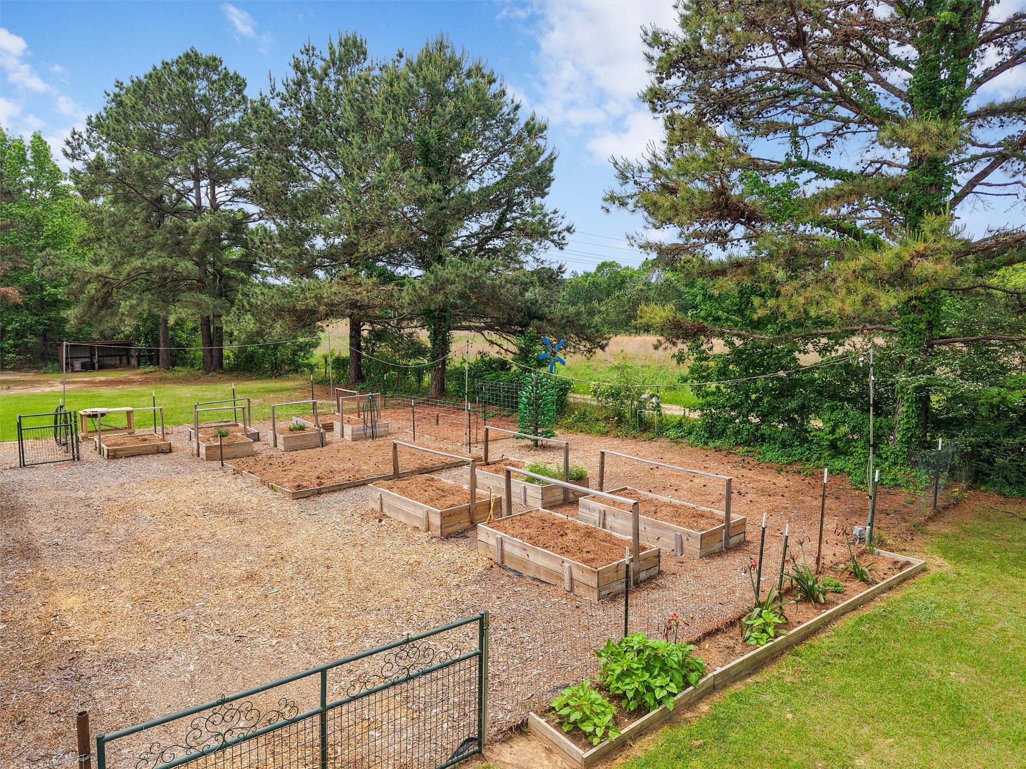 2976 Cr 217 E Henderson TX 75652