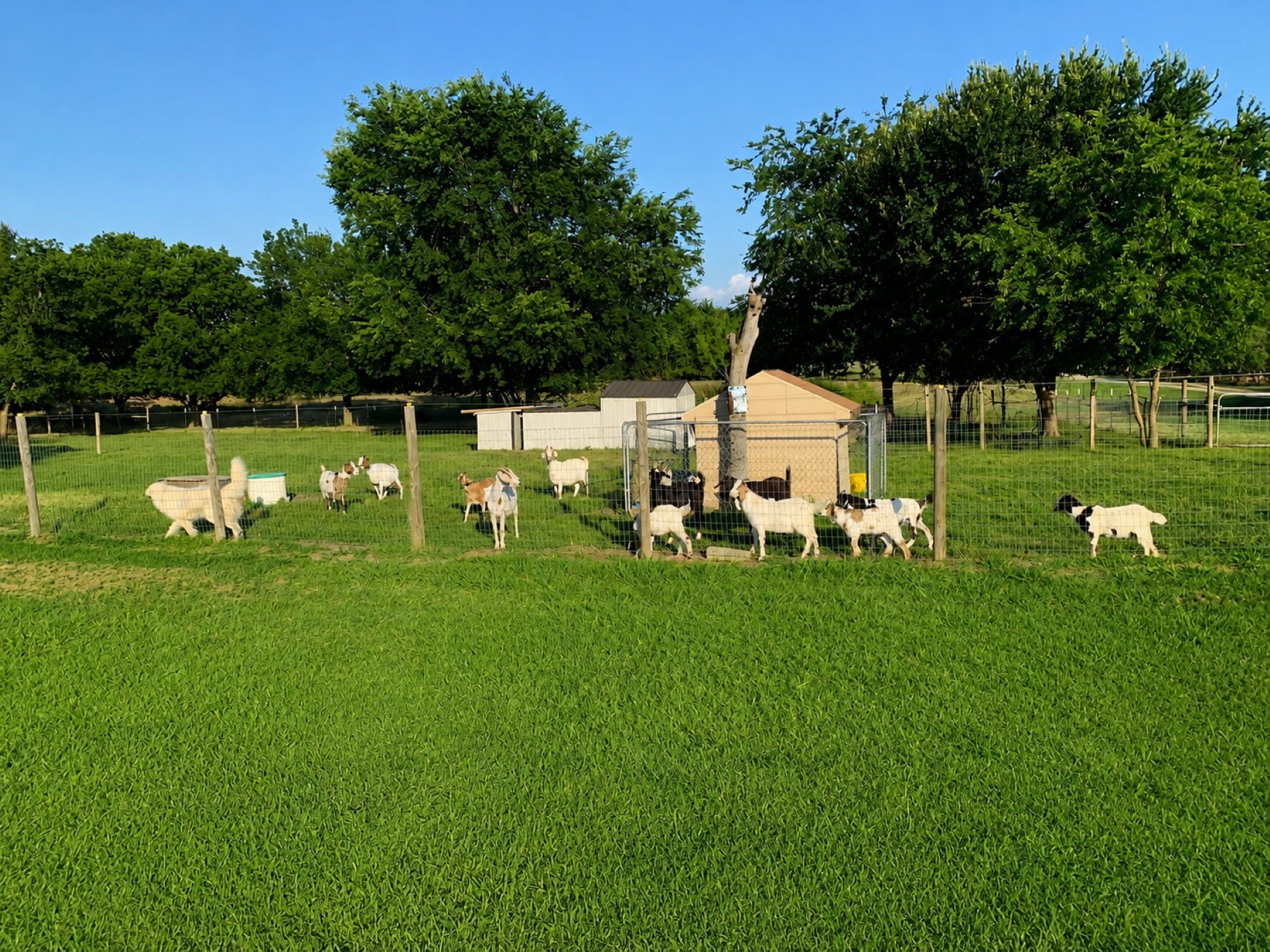 9909 County Road 309 Terrell TX 75161