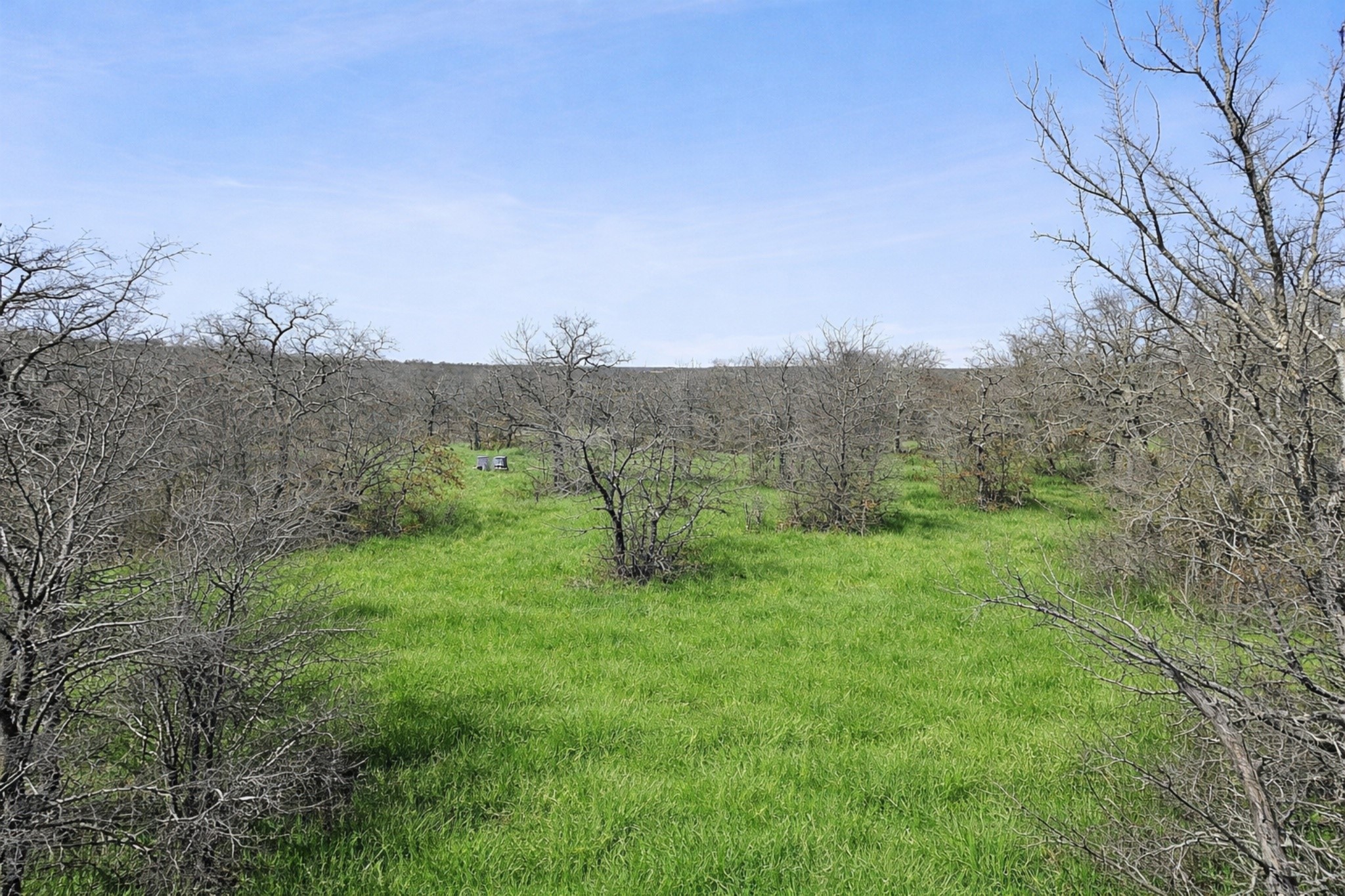 Tbd Cr-1990 Chico TX 76431