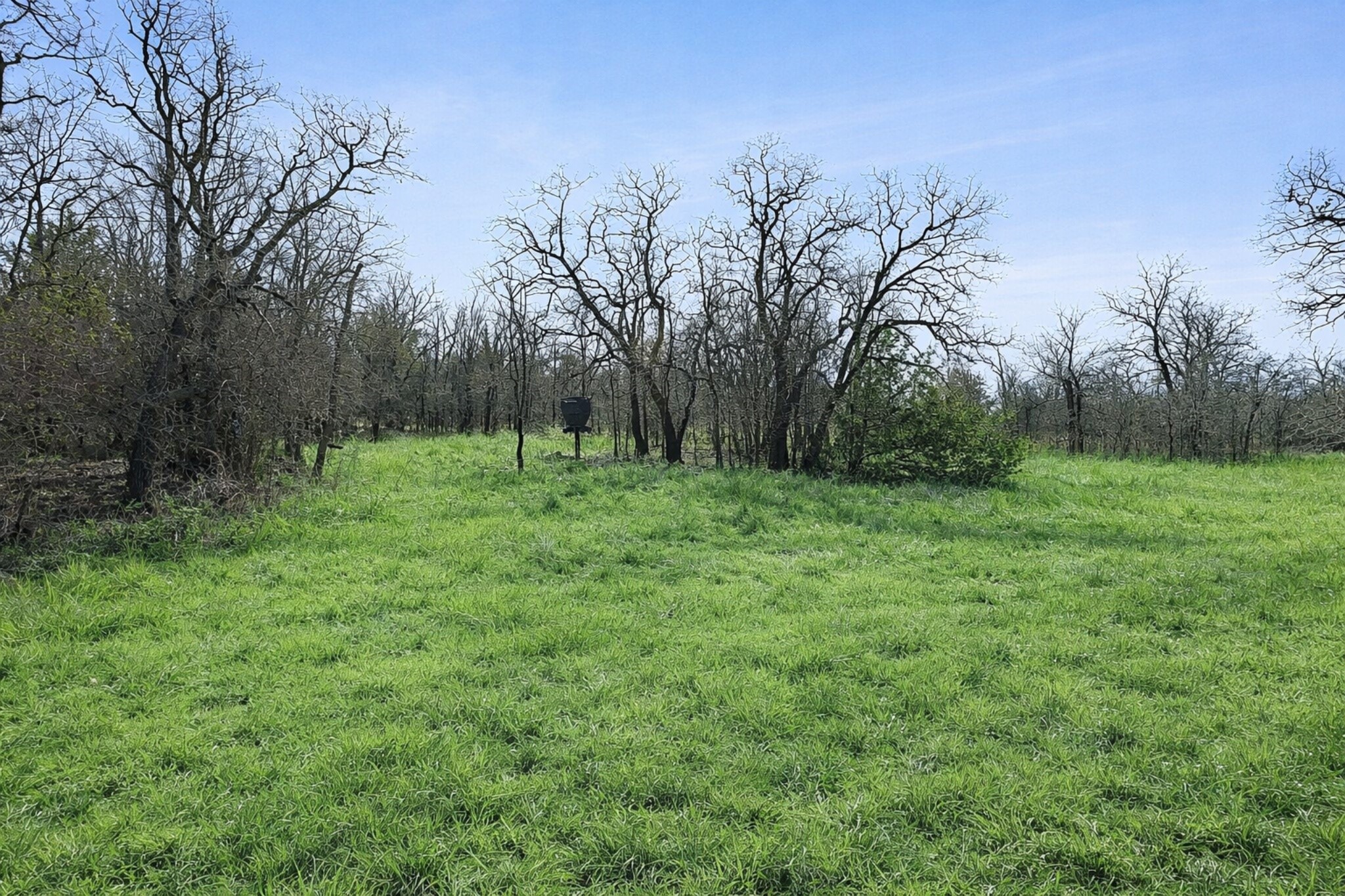 Tbd Cr-1990 Chico TX 76431