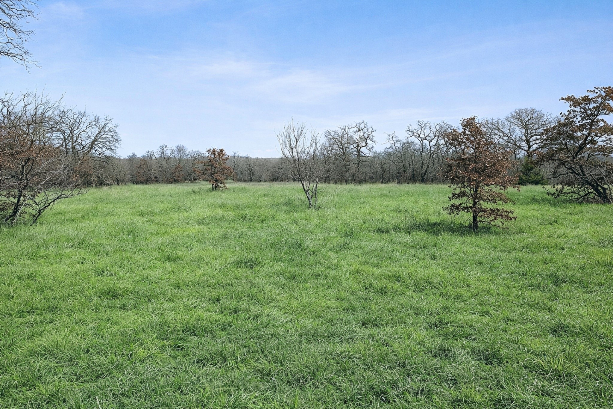 Tbd Cr-1990 Chico TX 76431