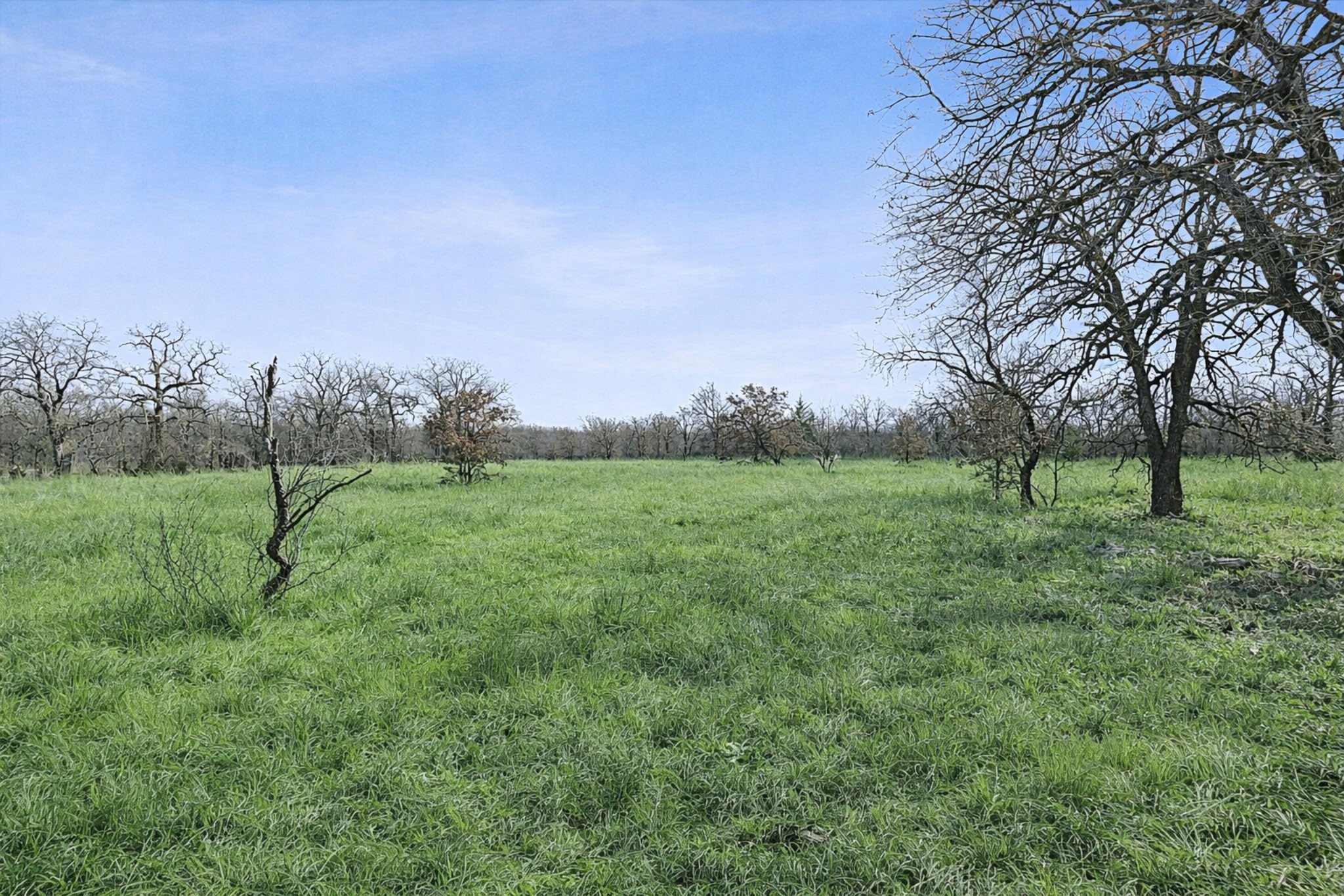 Tbd Cr-1990 Chico TX 76431