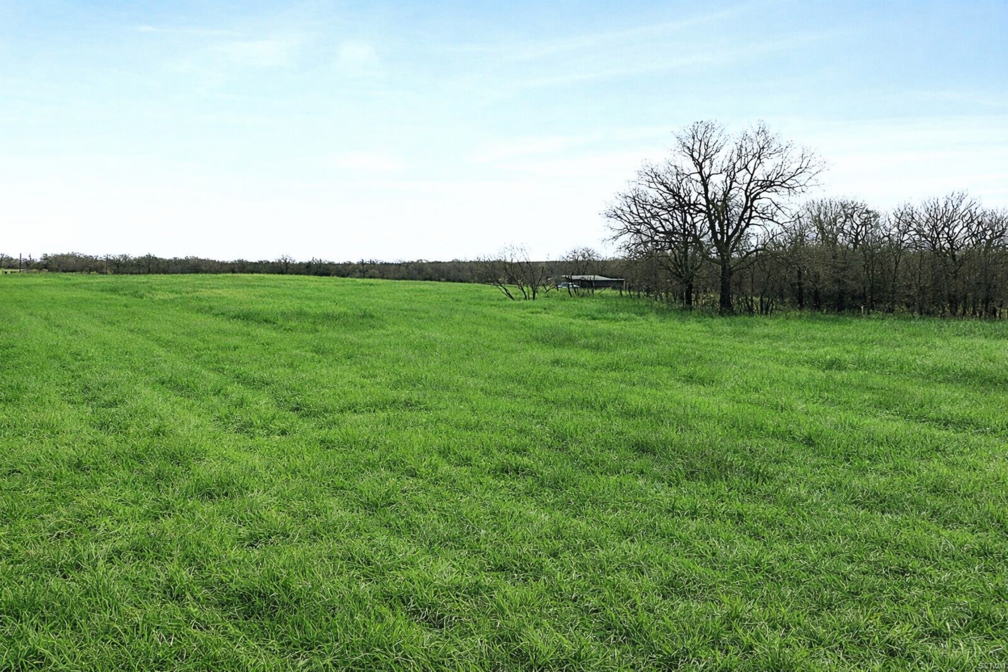 Tbd Cr-1990 Chico TX 76431
