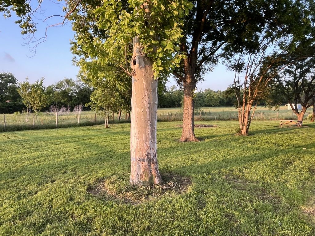 7140 S 3rd St Road Waco TX 76706