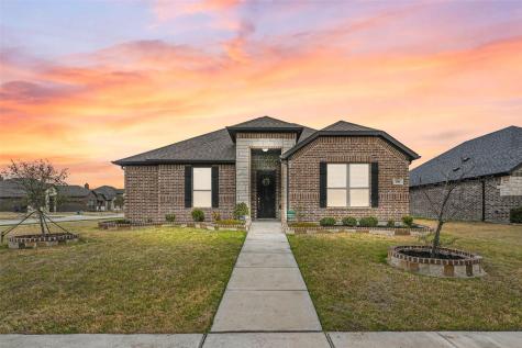 196 Lady Bird Drive Waxahachie TX 75165