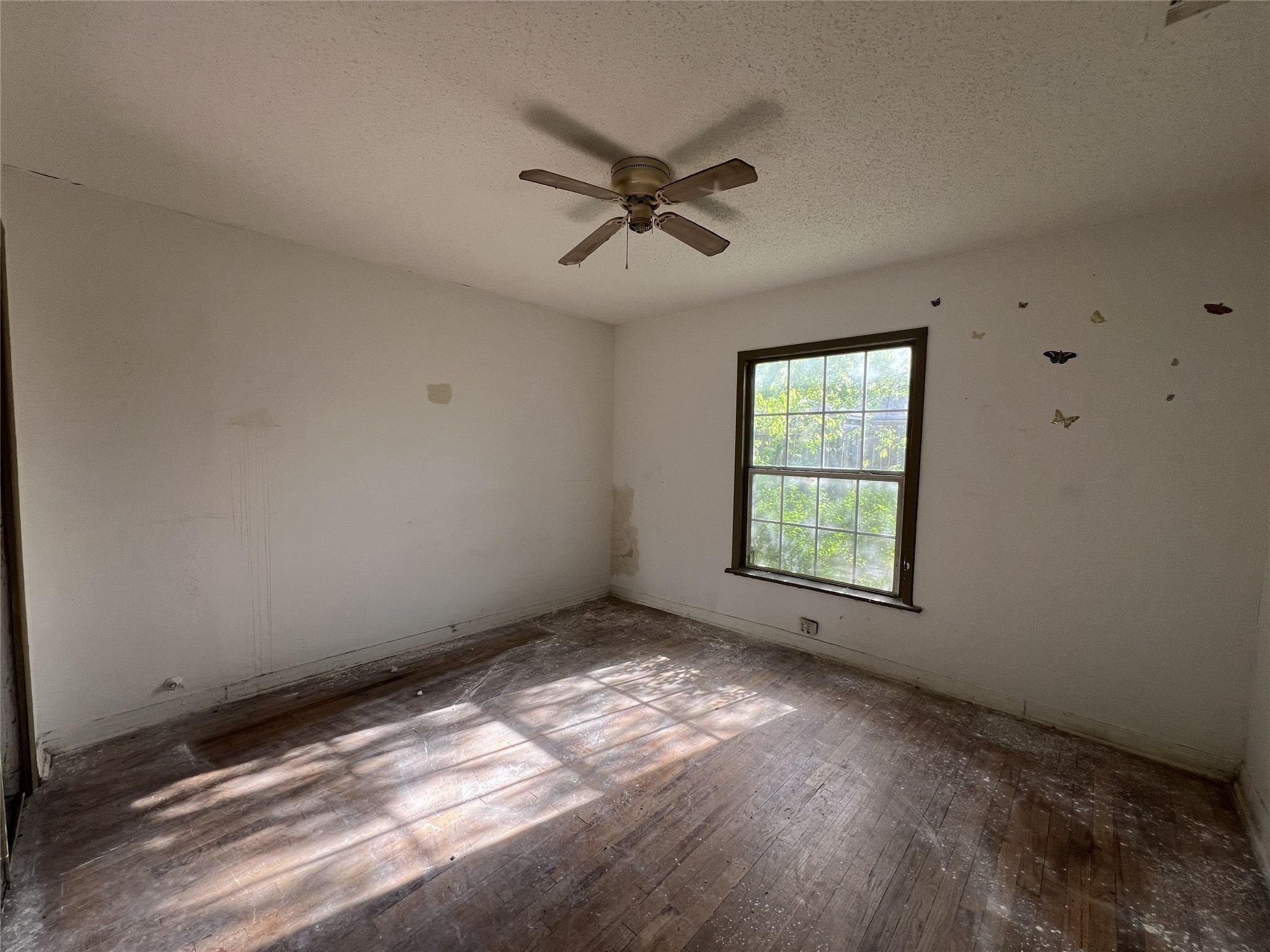 738 Houston Street Sulphur Springs TX 75482
