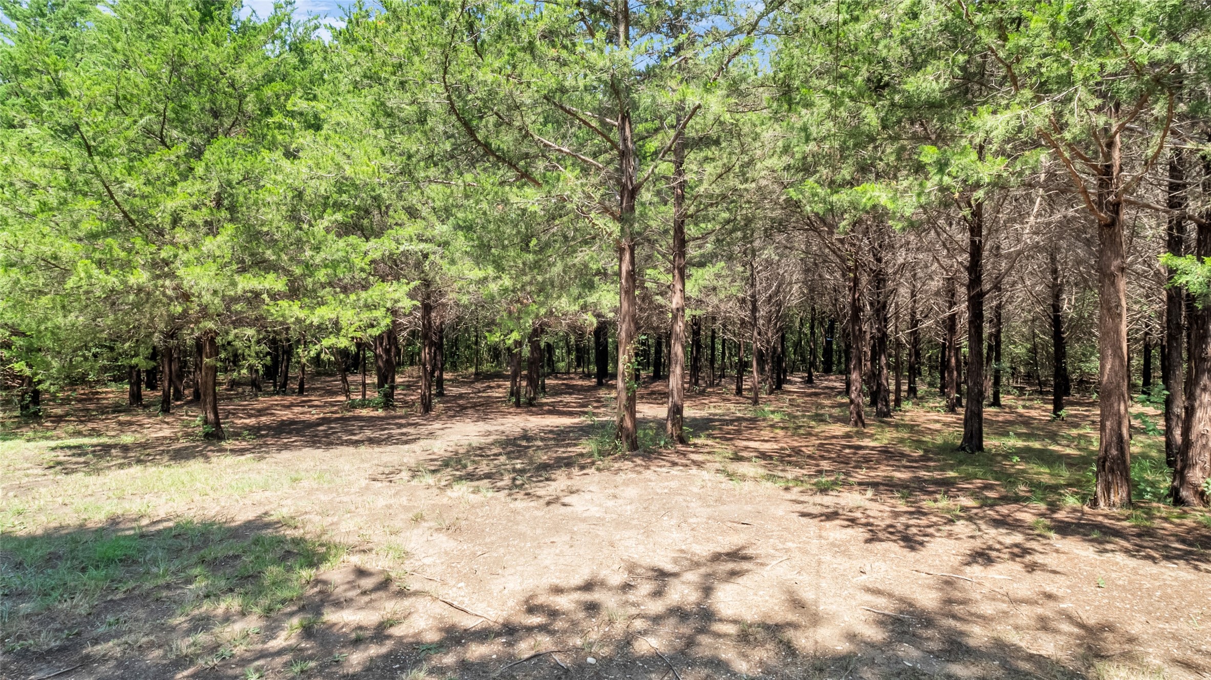 1011 Sister Grove Road Van Alstyne TX 75495