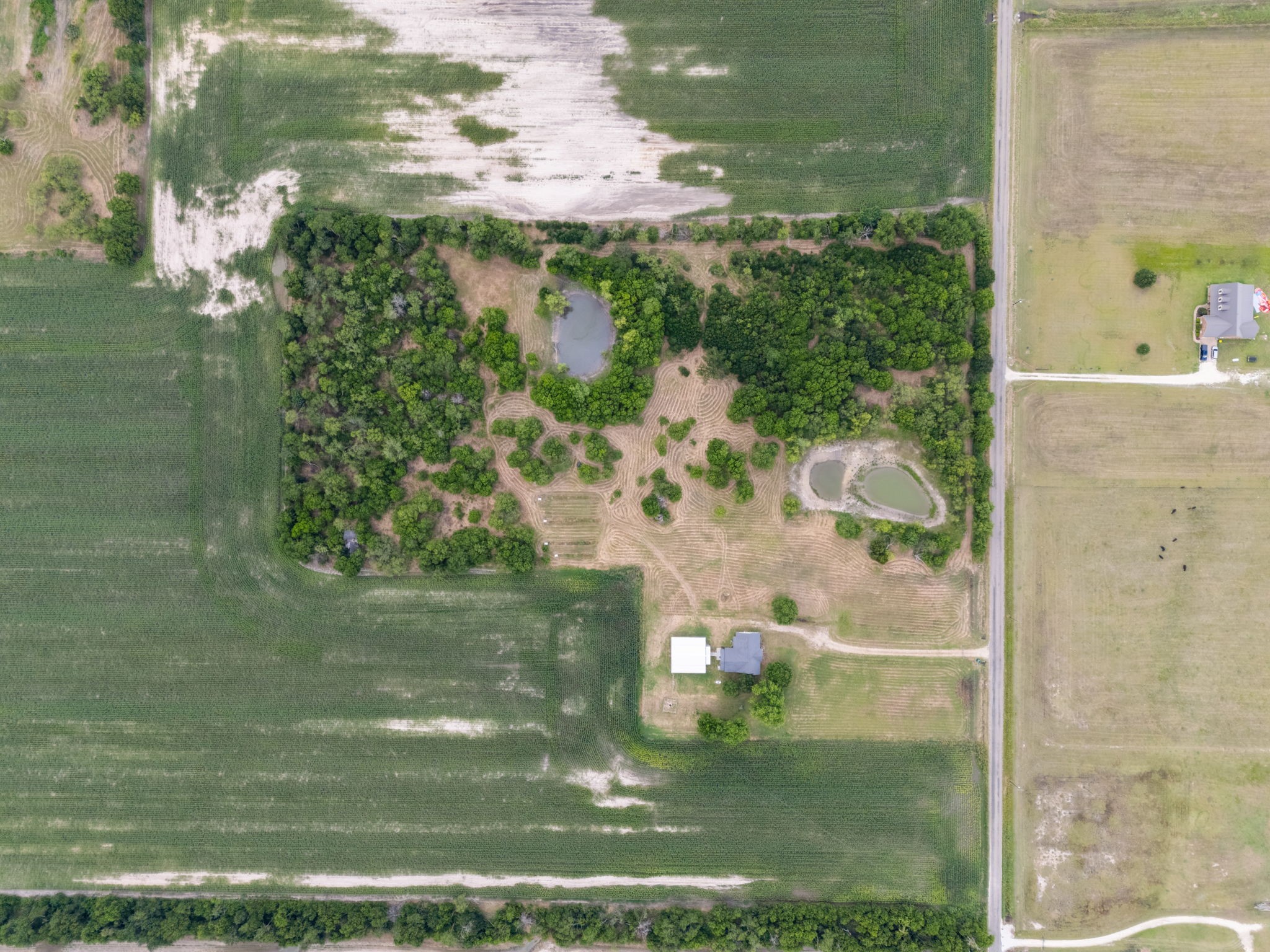 300 Grellhesl West TX 76691