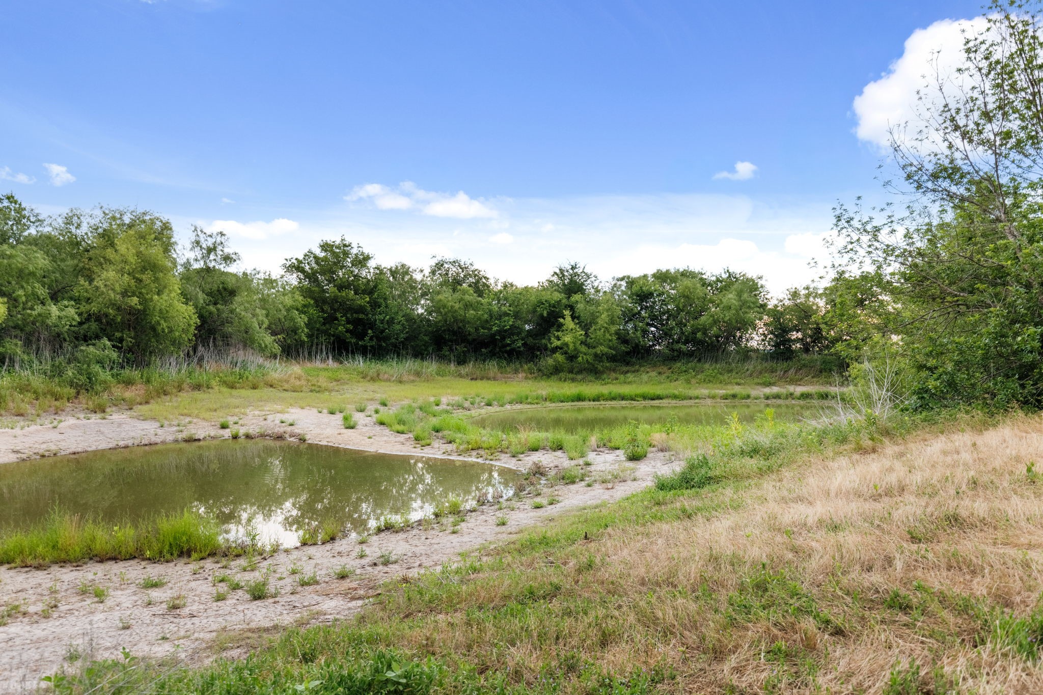 300 Grellhesl West TX 76691