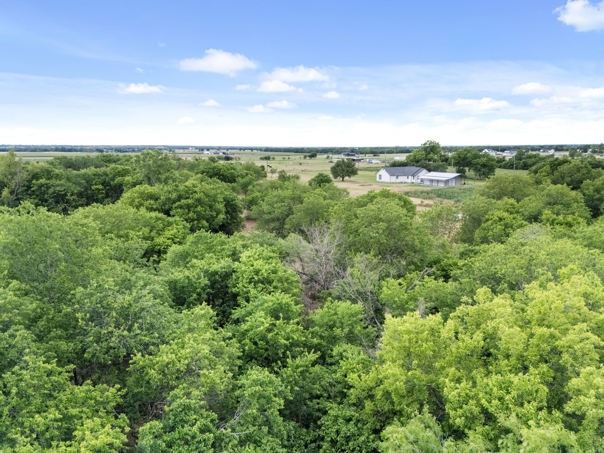 300 Grellhesl West TX 76691
