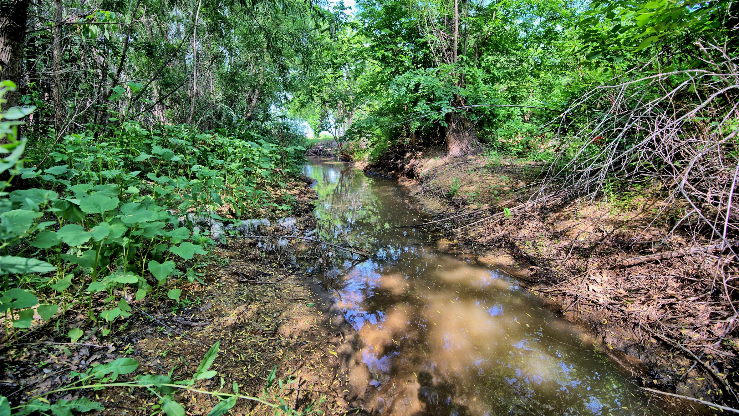 140 Elm Road Nocona TX 76255