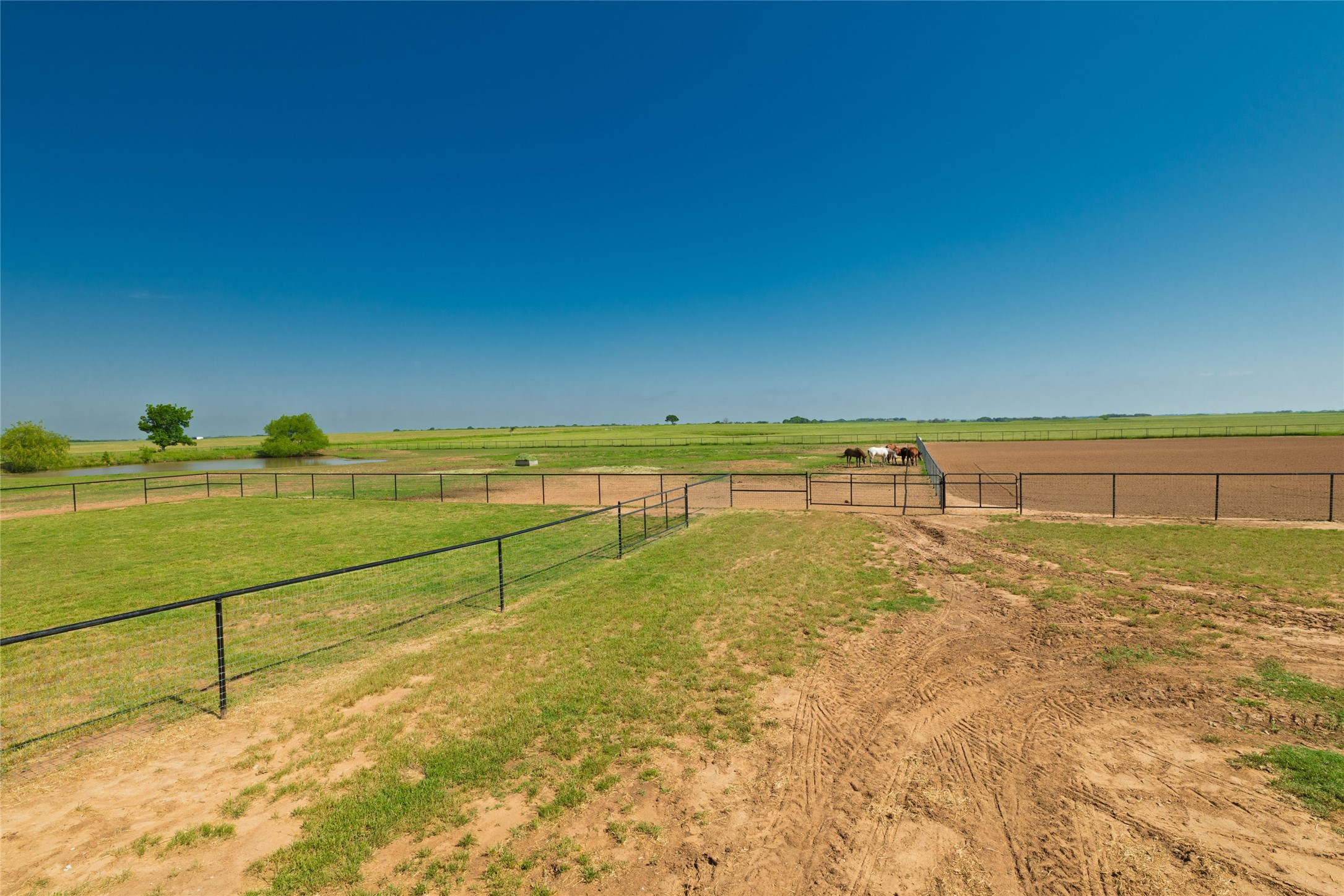 5543 Gray Road Nocona TX 76255