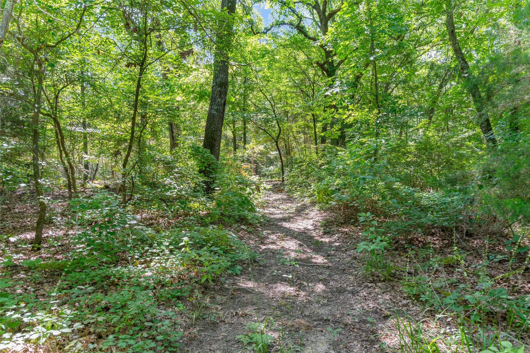 1987 County Road 3234 Quitman TX 75783