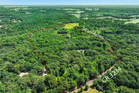 1987 County Road 3234 Quitman TX 75783