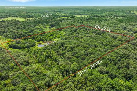 1987 County Road 3234 Quitman TX 75783