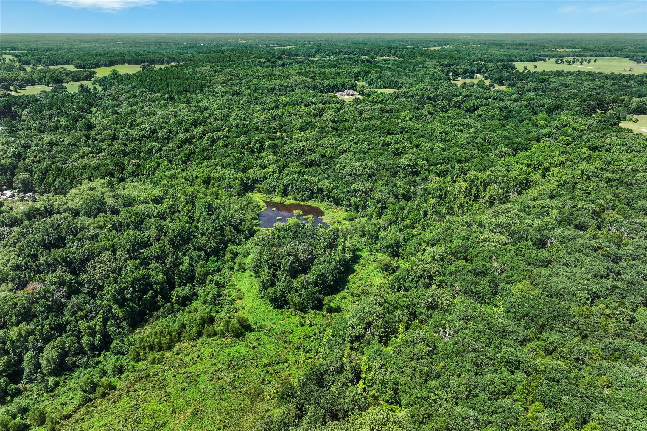 1987 County Road 3234 Quitman TX 75783