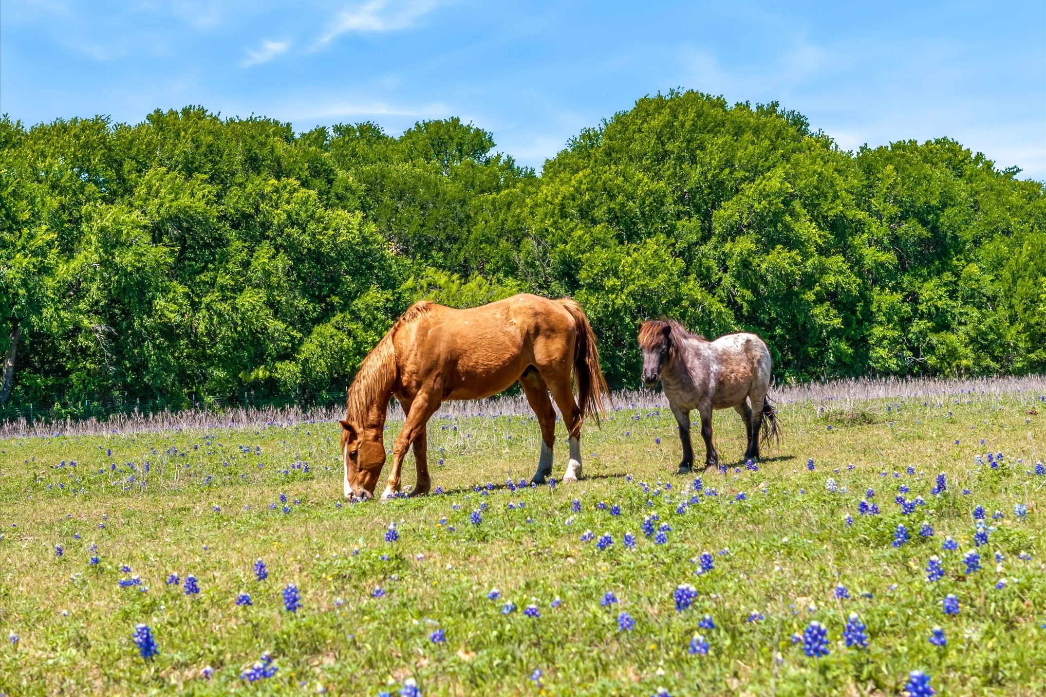 2201 E Fm 813 Ennis TX 75119
