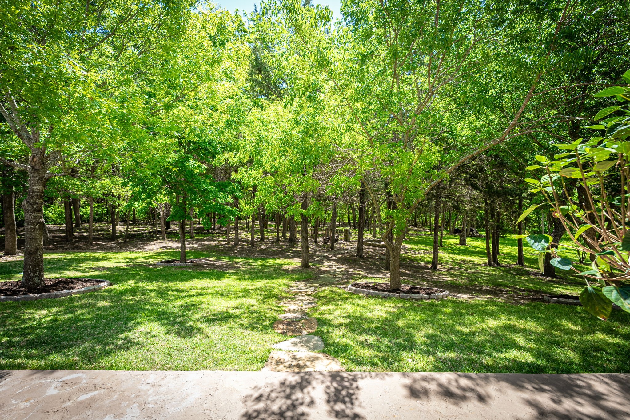 5412 Oakfield Drive Mckinney TX 75071