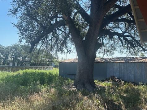 301 Pr 2267 Sonora TX 76950