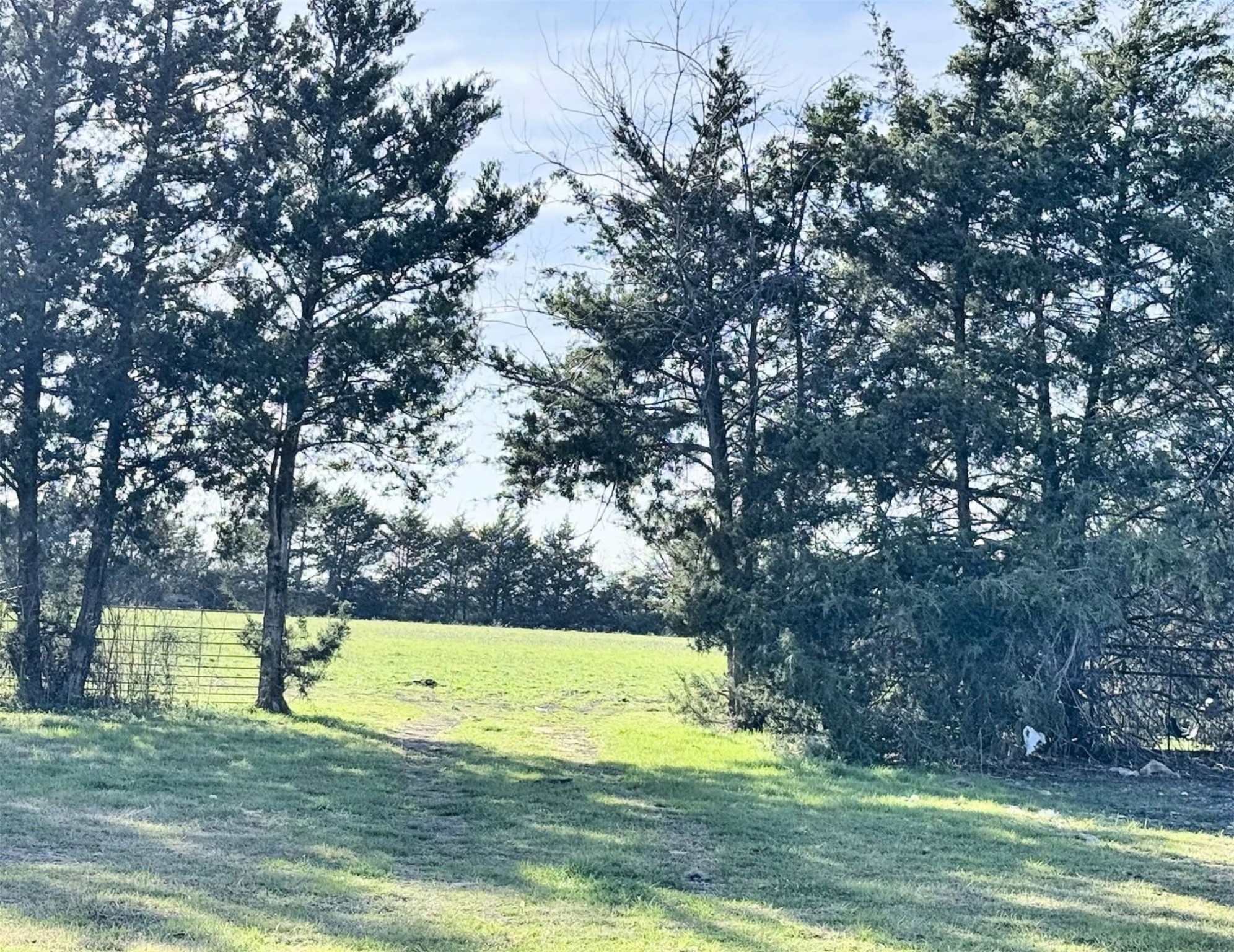 4300 County Road 4640 Trenton TX 75490