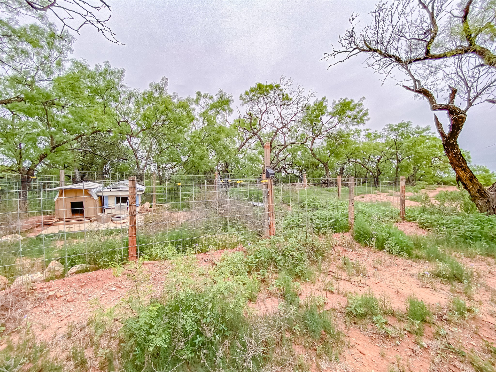 2309 County Road 175 Lawn TX 79530
