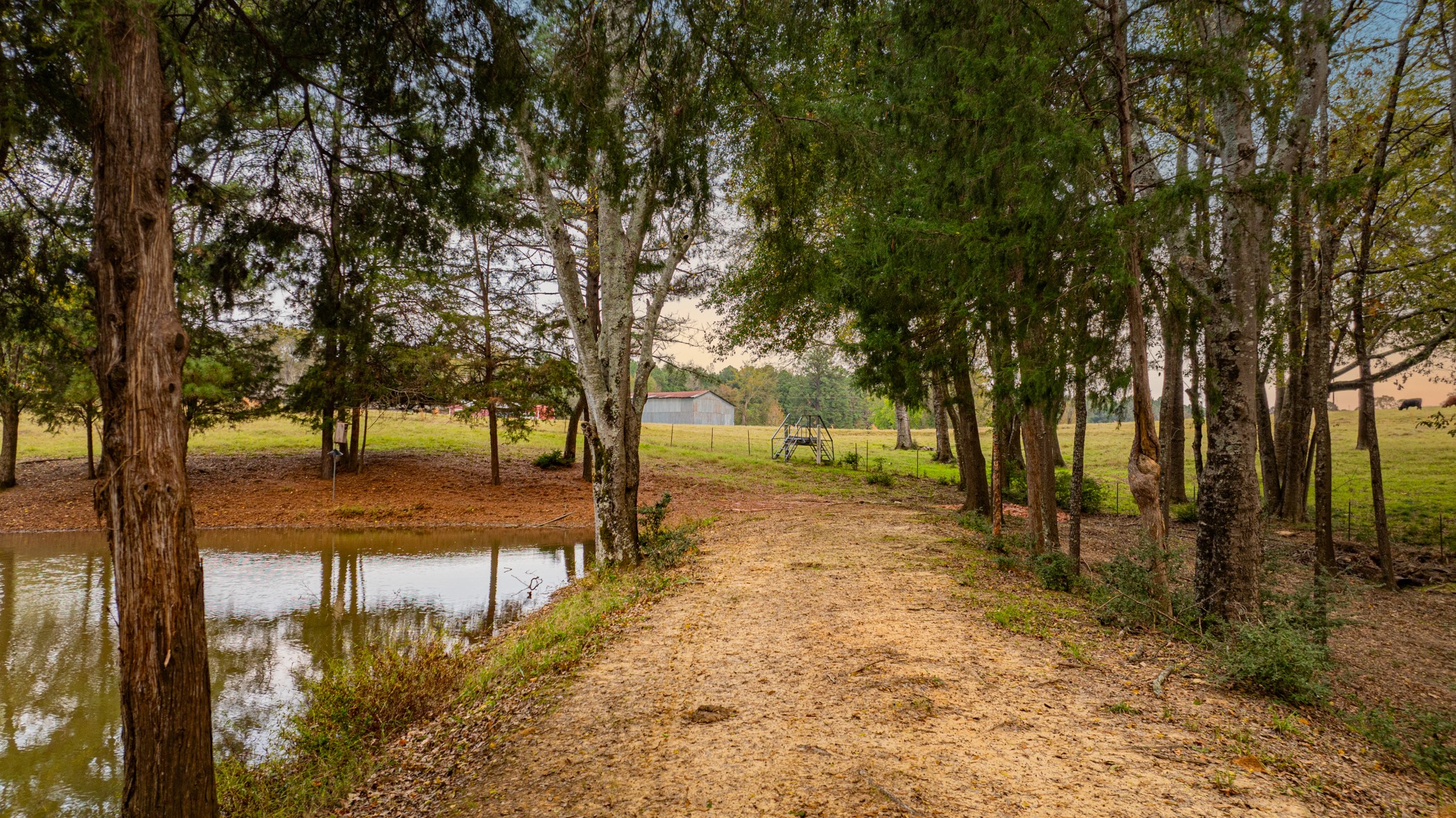 1855 Phillips Springs Road Gladewater TX 75647