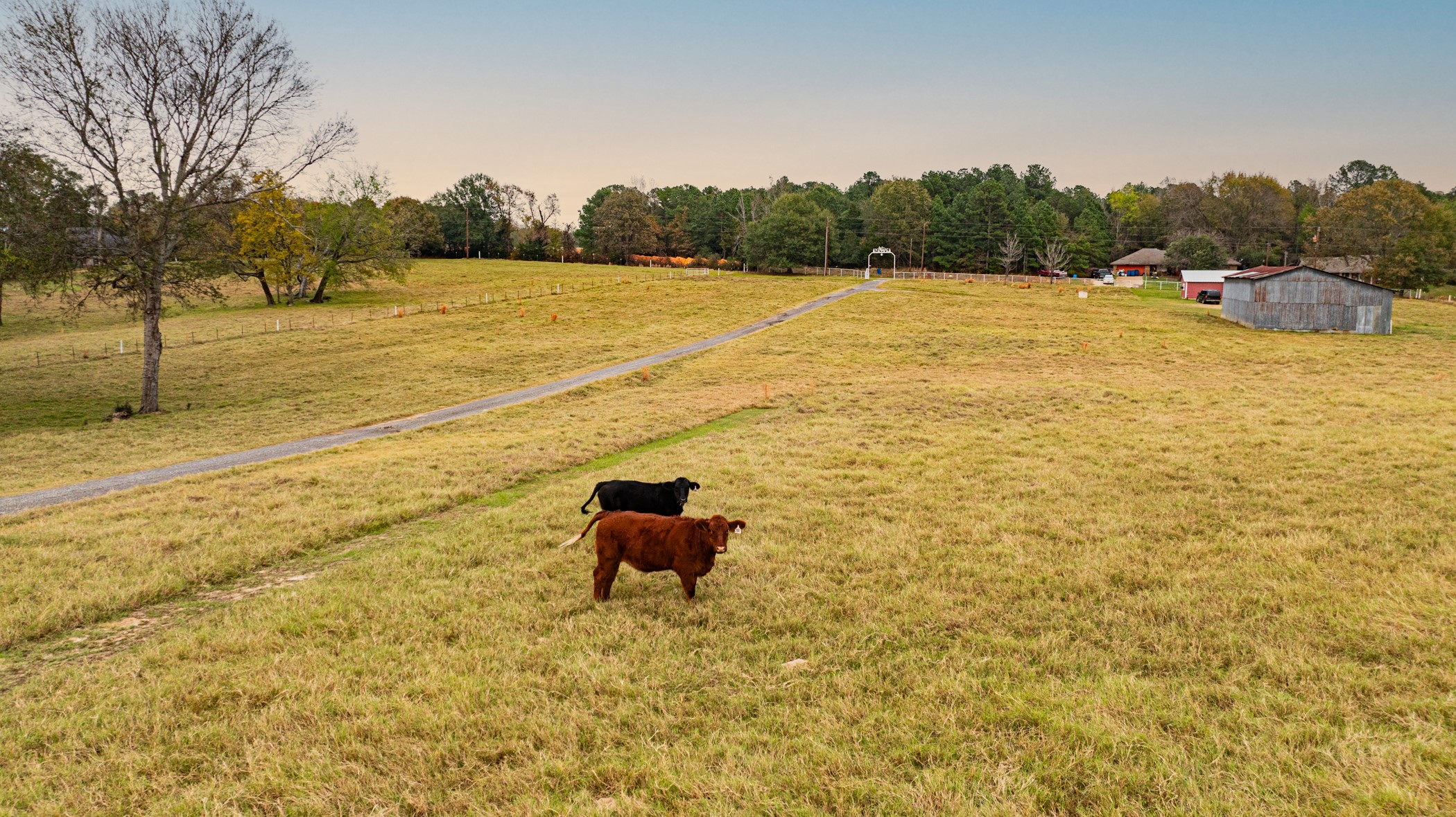 1855 Phillips Springs Road Gladewater TX 75647