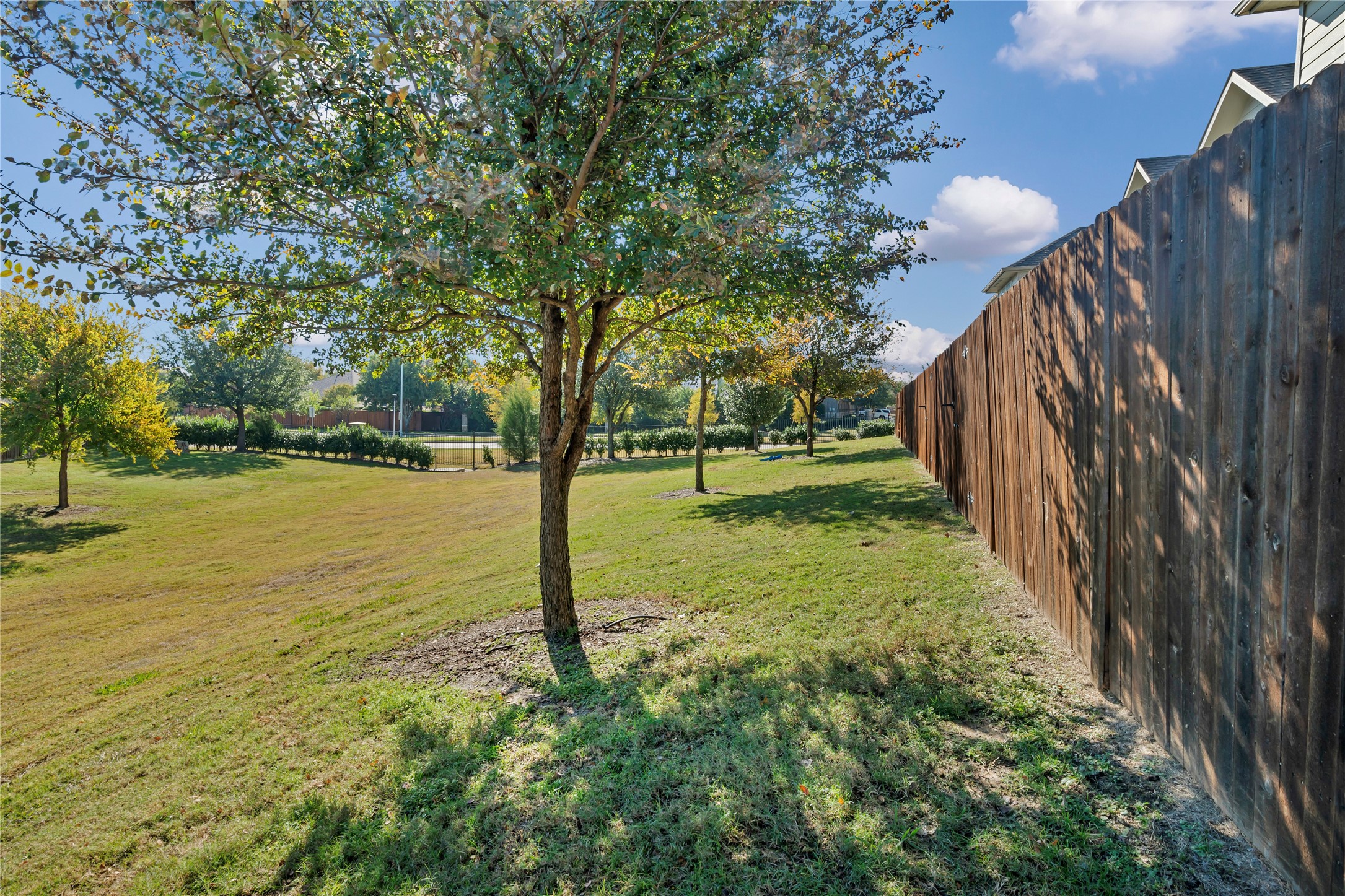 2312 Cortellia Street Plano TX 75074