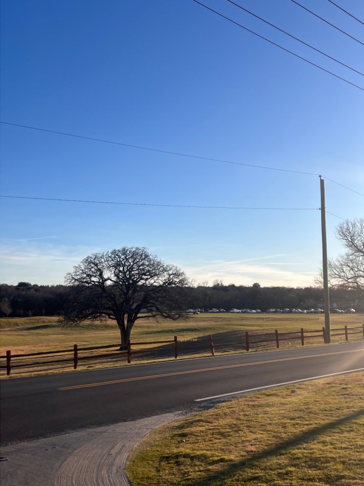 125 Timber Cross Court Azle TX 76020