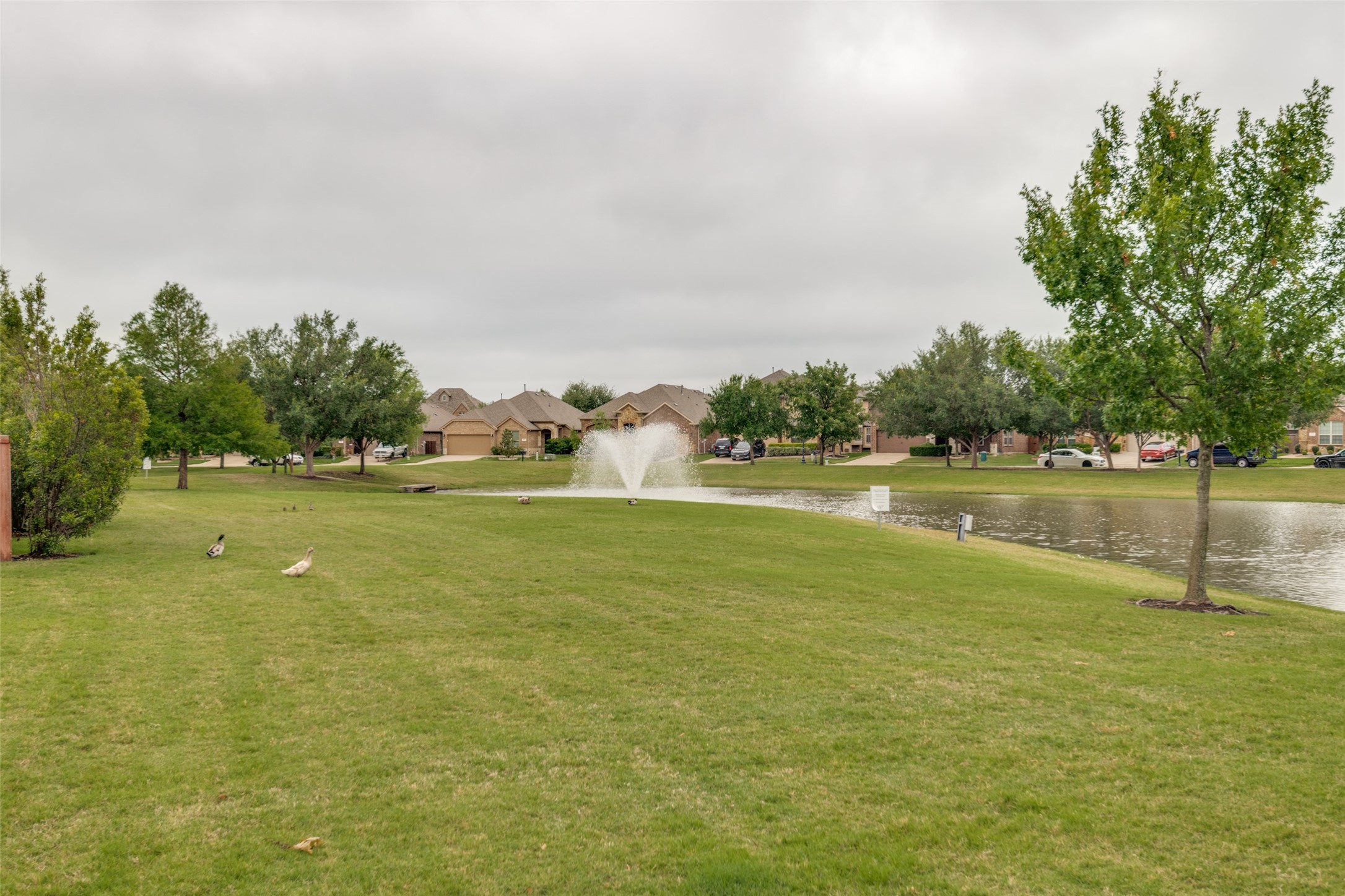 157 Charleston Lane Fate TX 75189