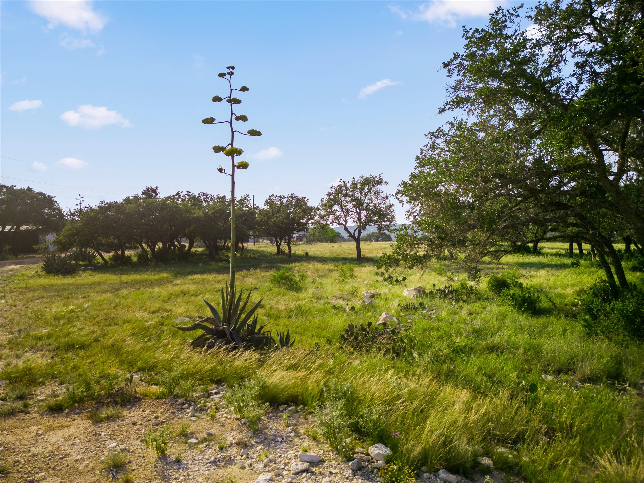 1428 Seven Springs Drive Drive Junction TX 76849