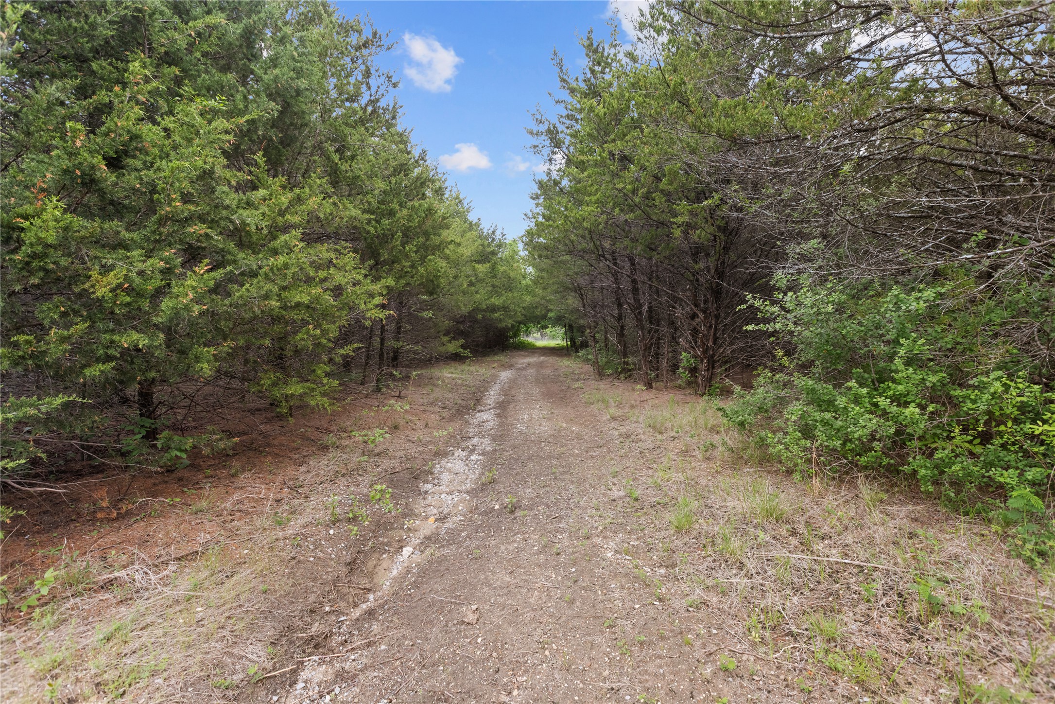 1229 Country Road 3105 Bonham TX 75418