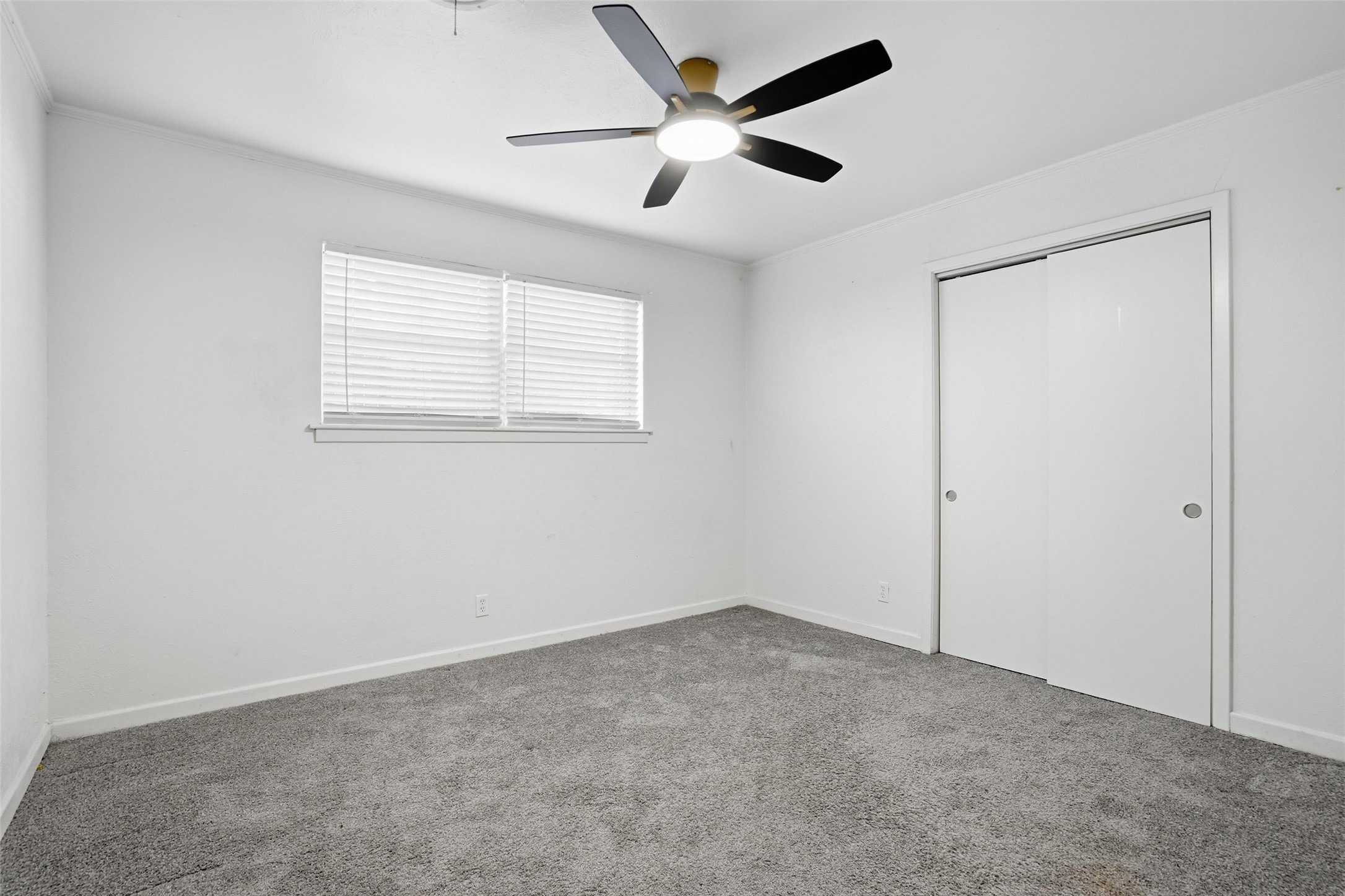 5905 Winifred Drive Fort Worth TX 76133