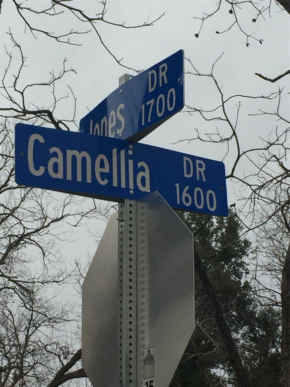 1609 Camellia Drive Arlington TX 76013