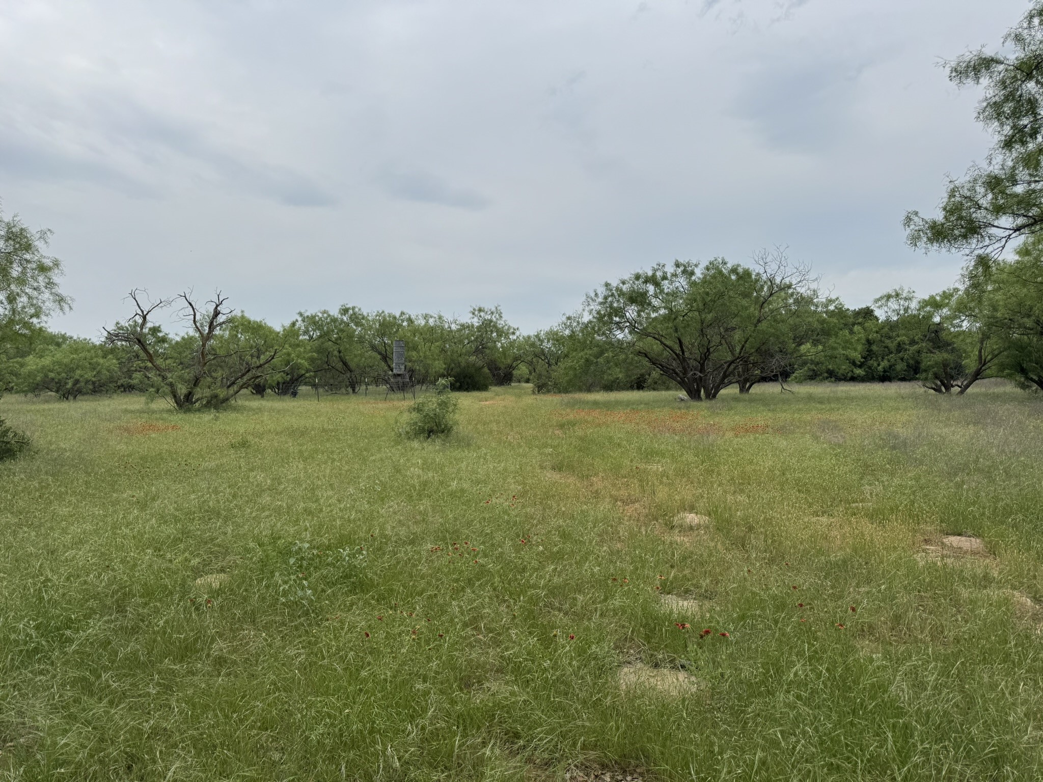 12550 County Road 136 Breckenridge TX 76470
