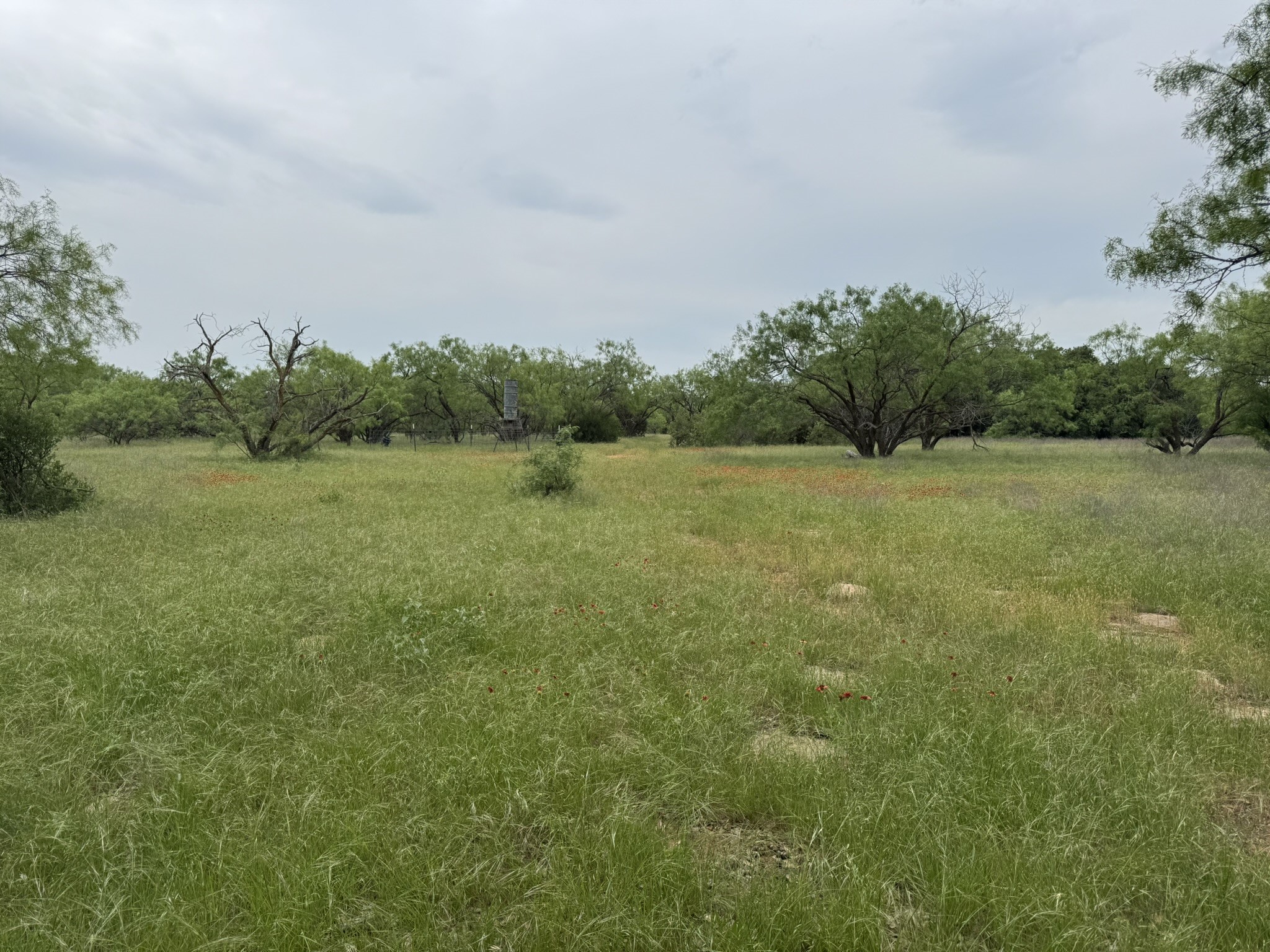 12550 County Road 136 Breckenridge TX 76470