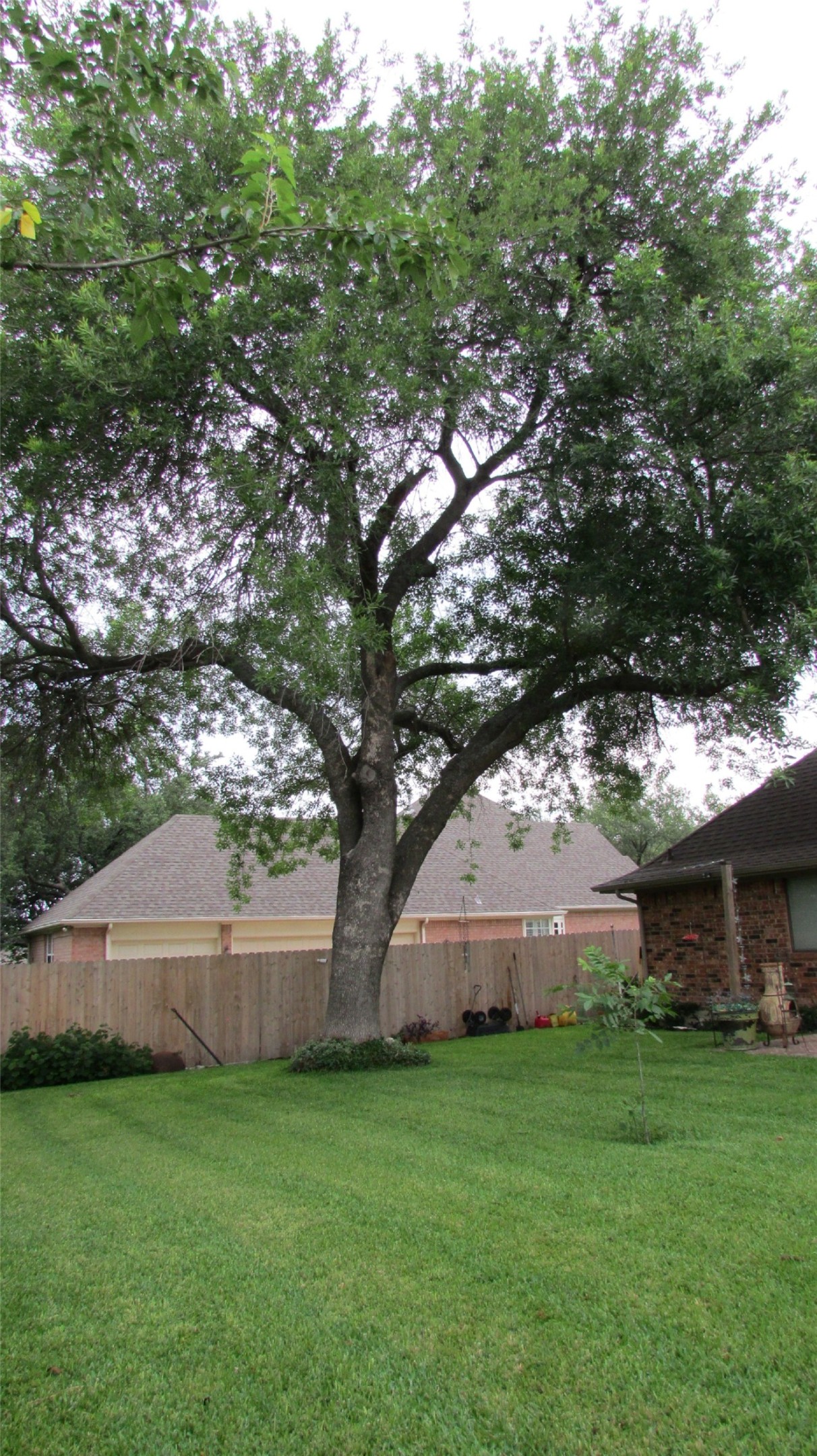 901 Lakeway Drive Ennis TX 75119