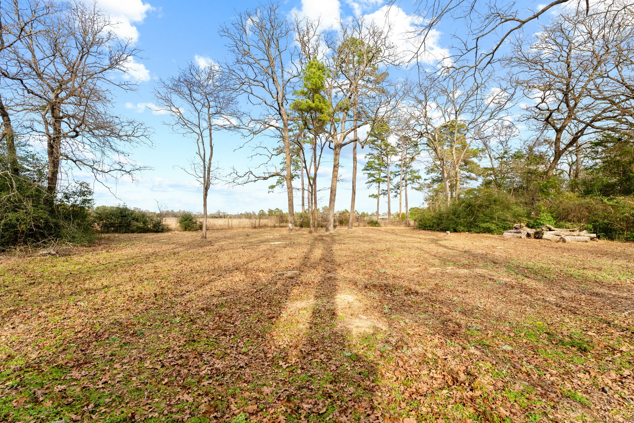 289 Pr 7819 Hawkins TX 75765