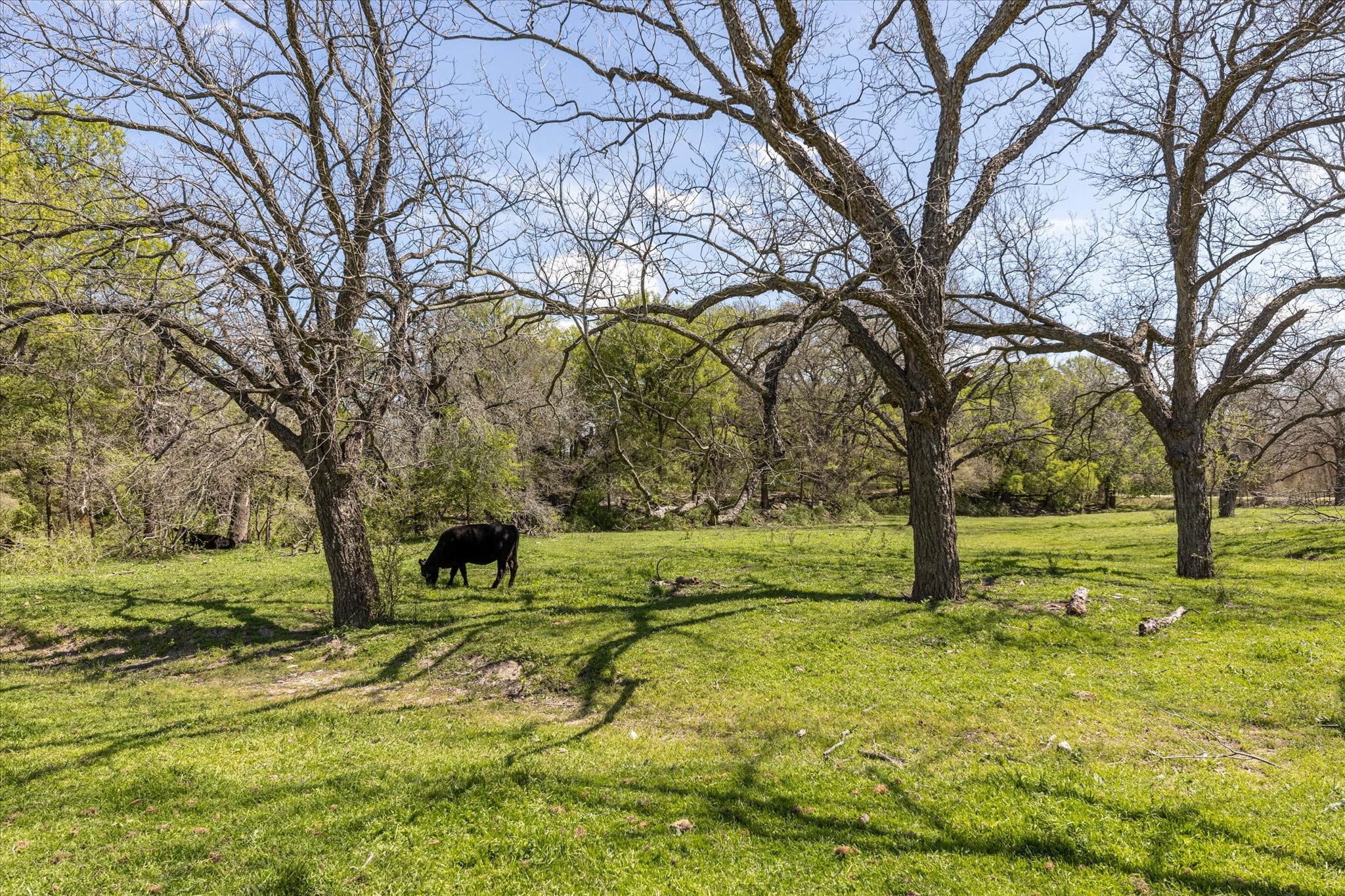 9885 County Road 270 Hico TX 76457