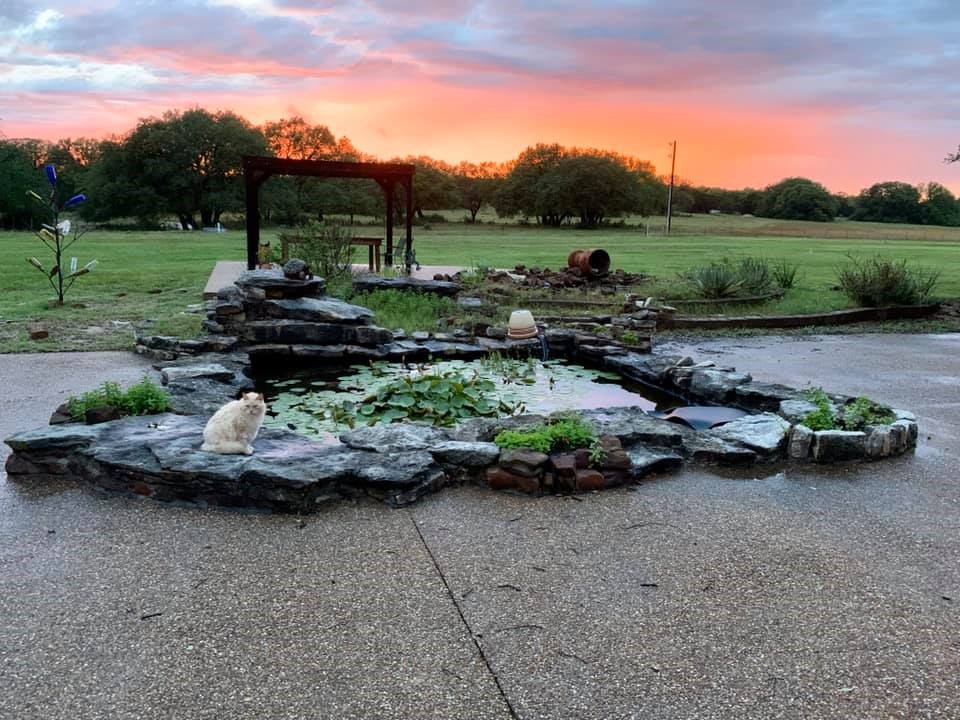 9051 Fm 205 Bluff Dale TX 76433